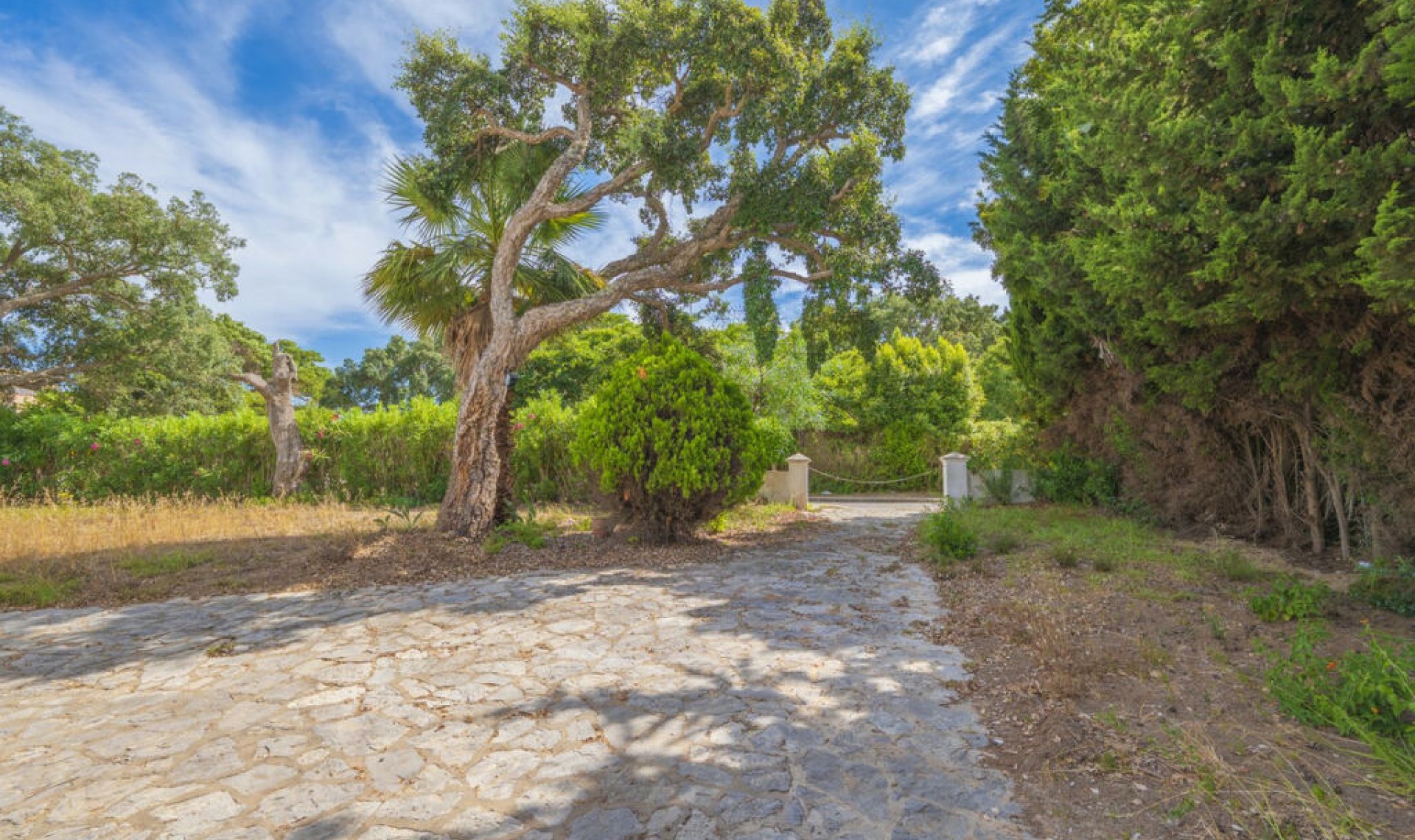 Resale - House -
San Roque Club