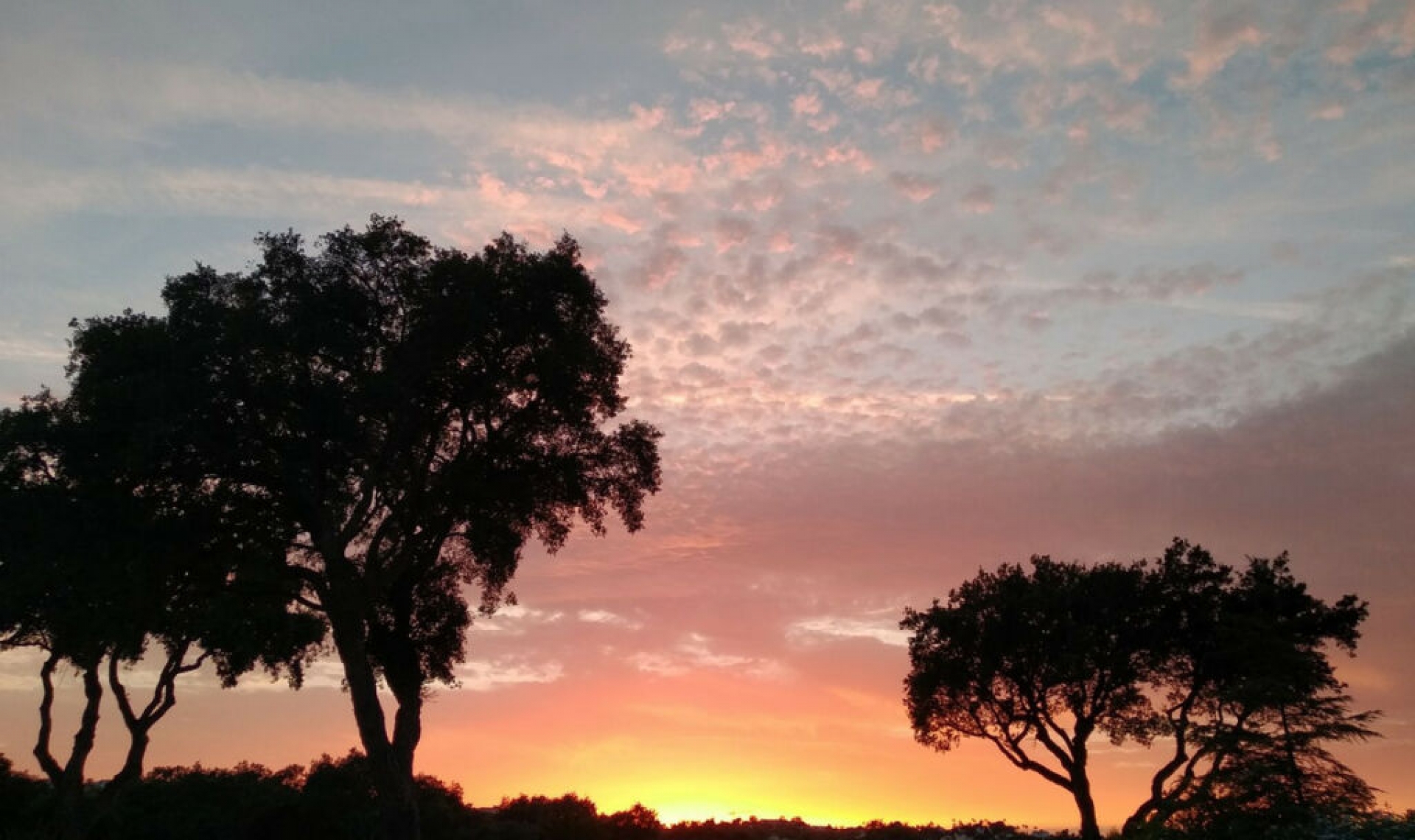 Resale - House -
San Roque Club