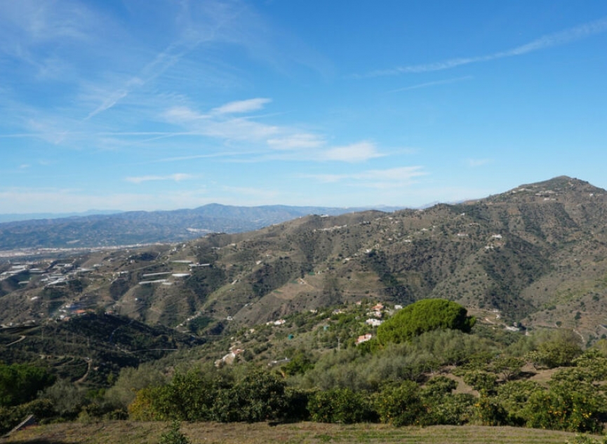 Resale - House -
Sayalonga