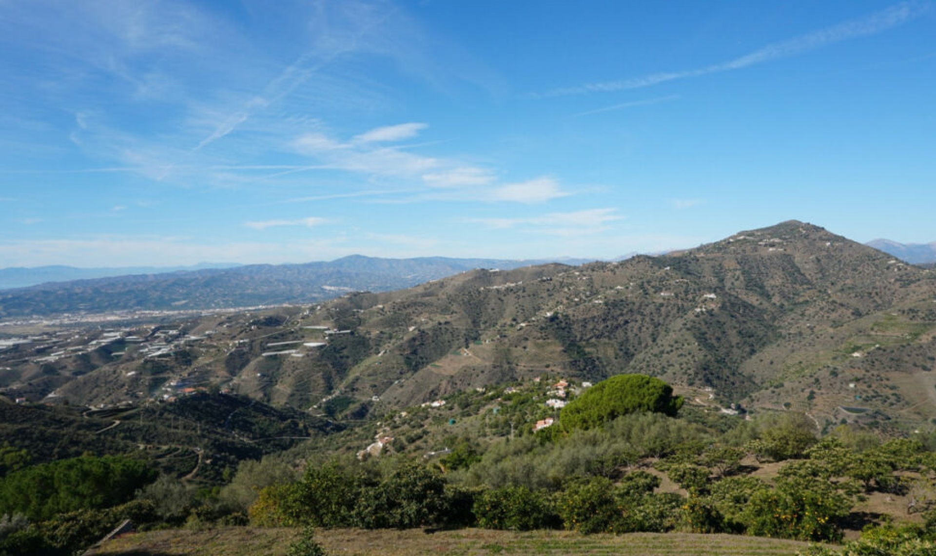 Resale - House -
Sayalonga