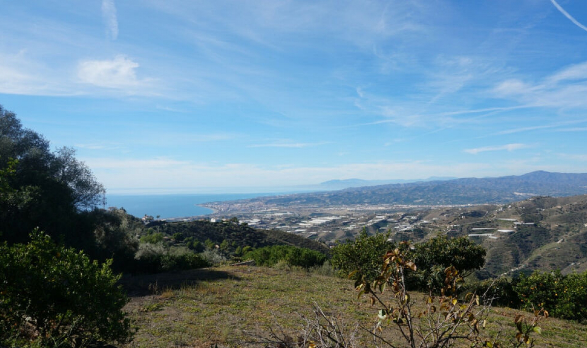 Resale - House -
Sayalonga