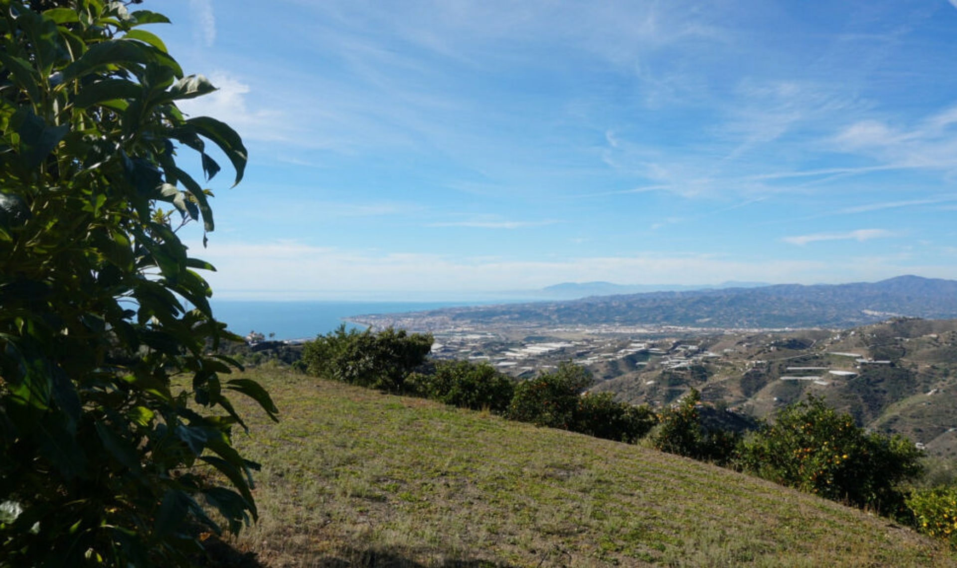 Resale - House -
Sayalonga