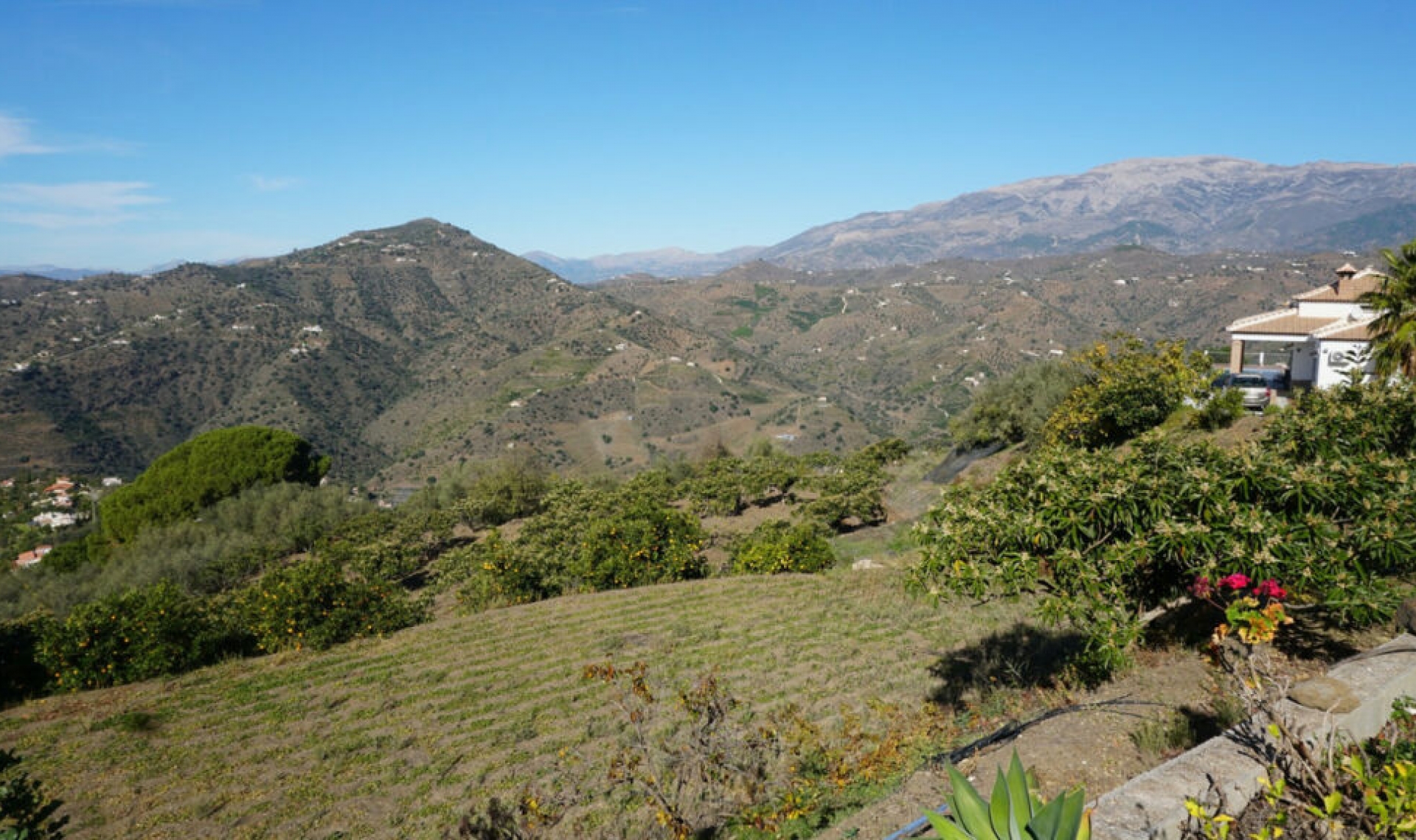 Resale - House -
Sayalonga