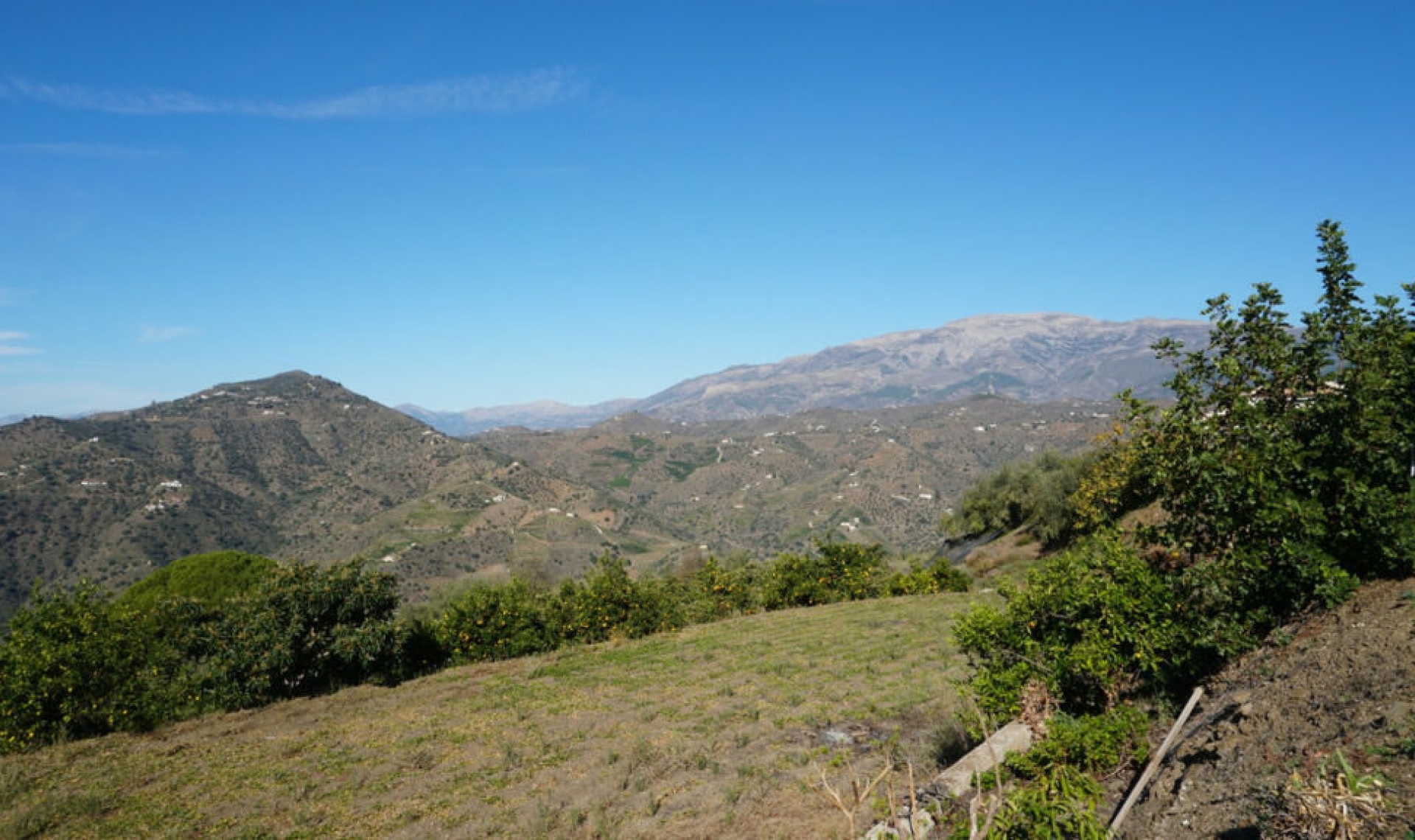 Resale - House -
Sayalonga