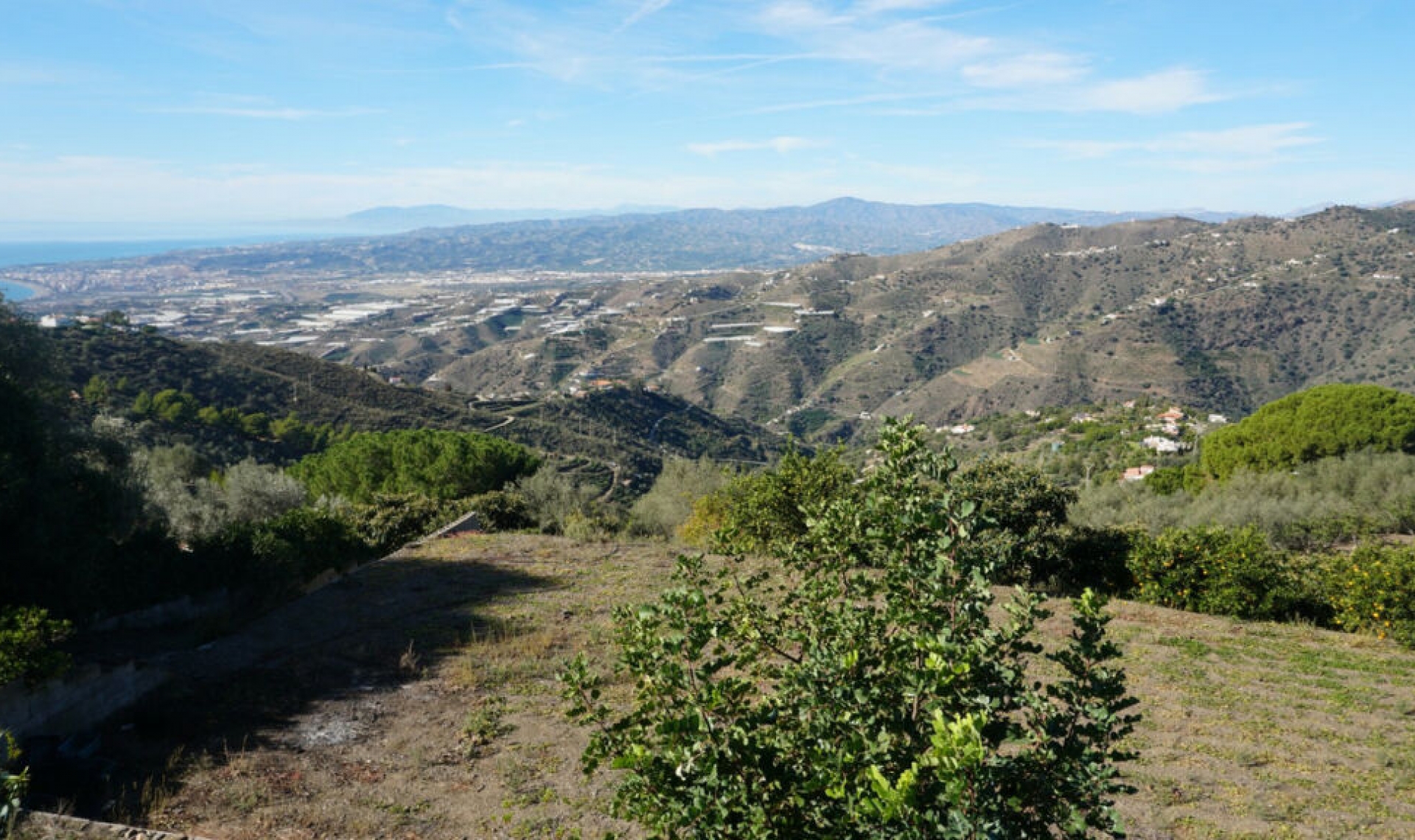 Resale - House -
Sayalonga