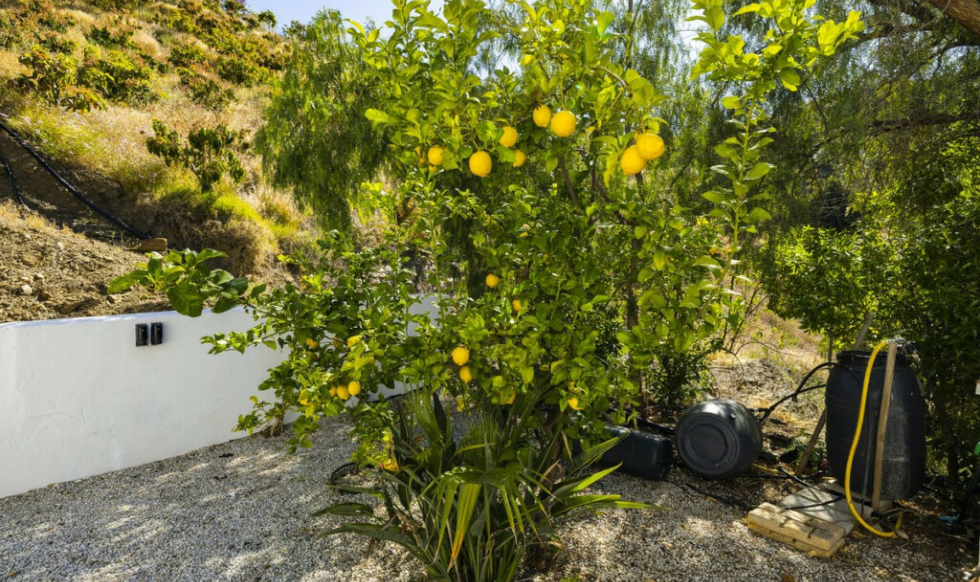 Resale - House -
Sayalonga