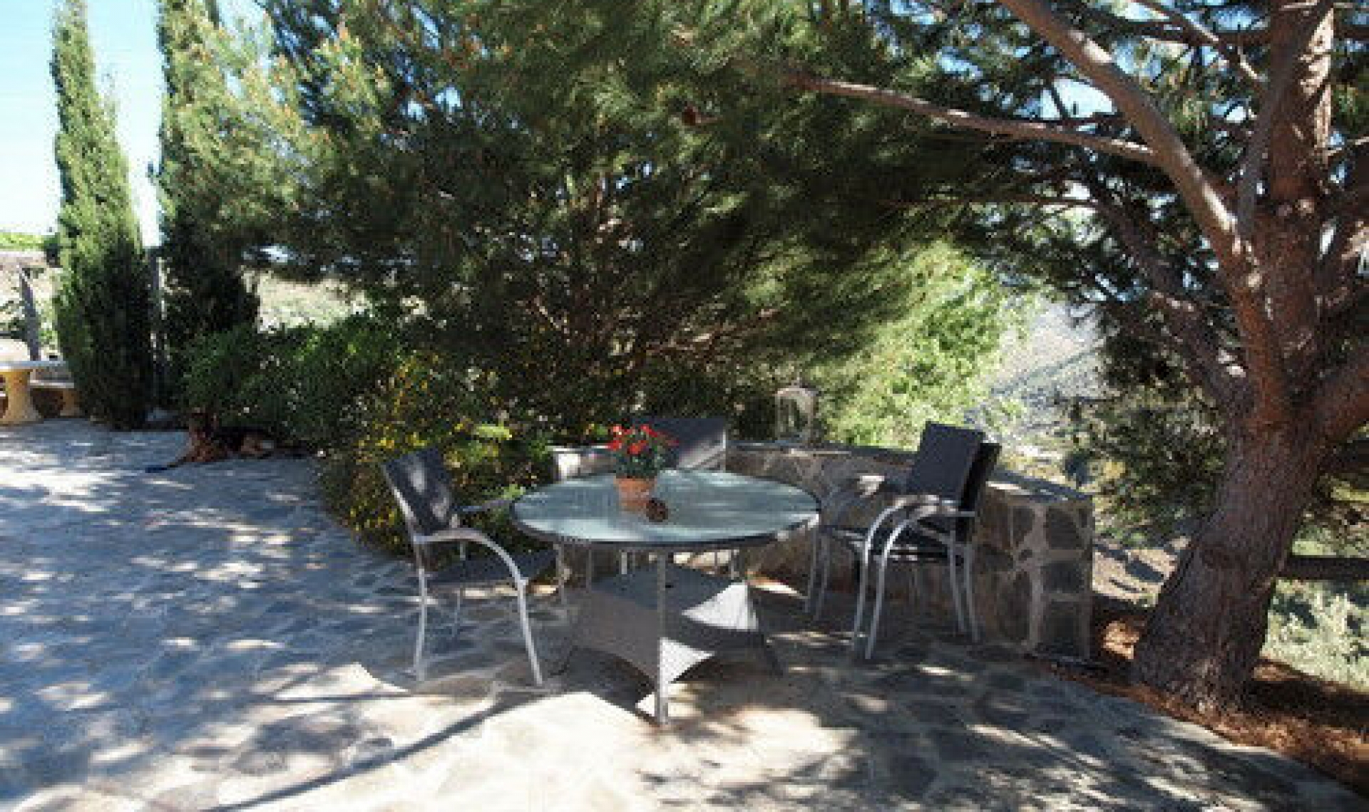 Resale - House -
Sayalonga