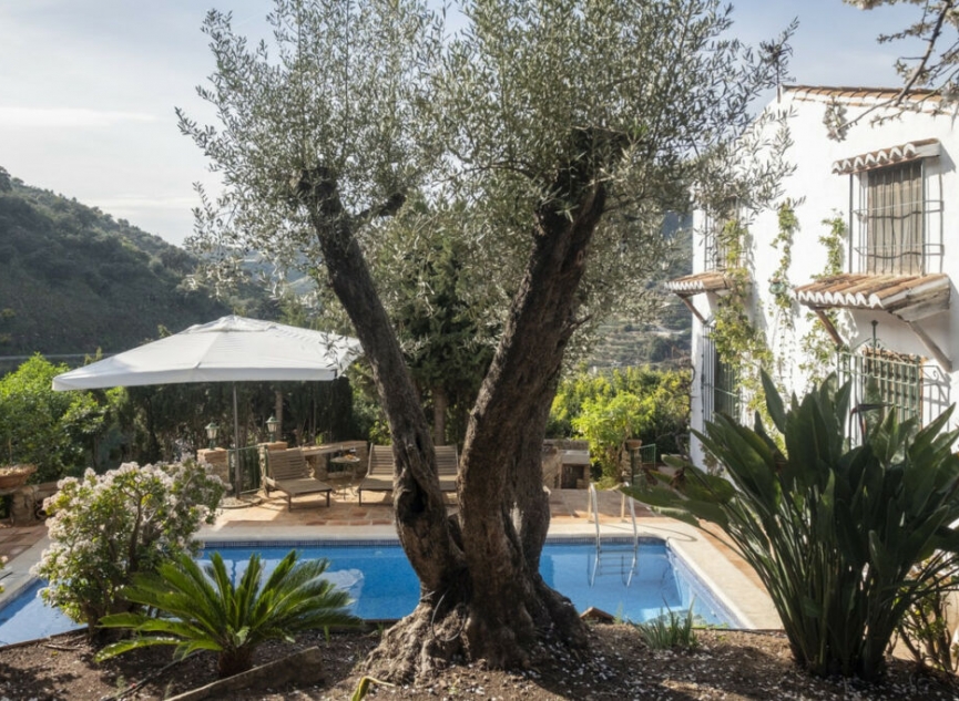 Resale - House -
Sayalonga