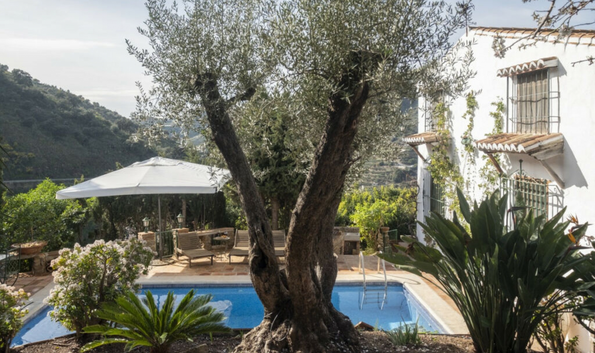 Resale - House -
Sayalonga