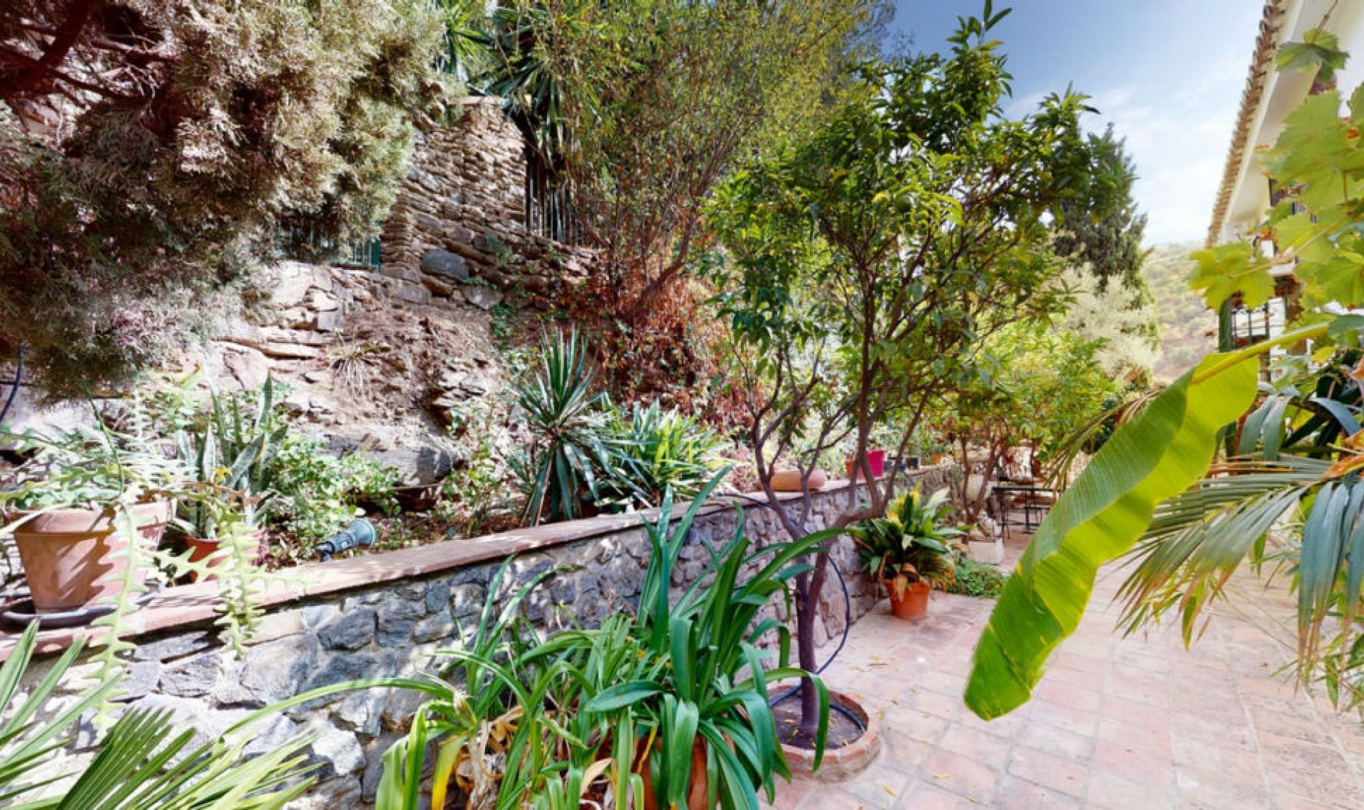 Resale - House -
Sayalonga