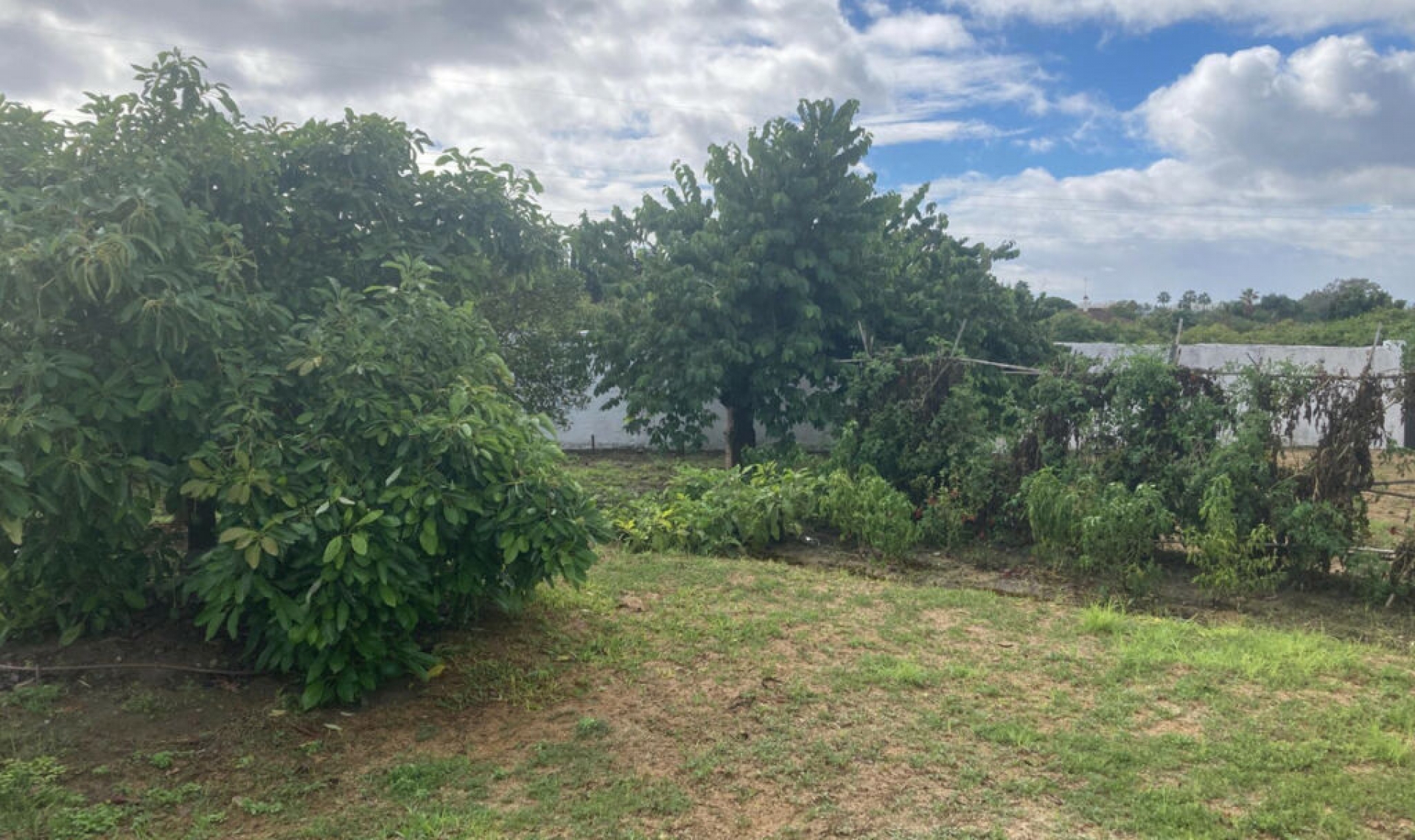 Resale - House -
Selwo