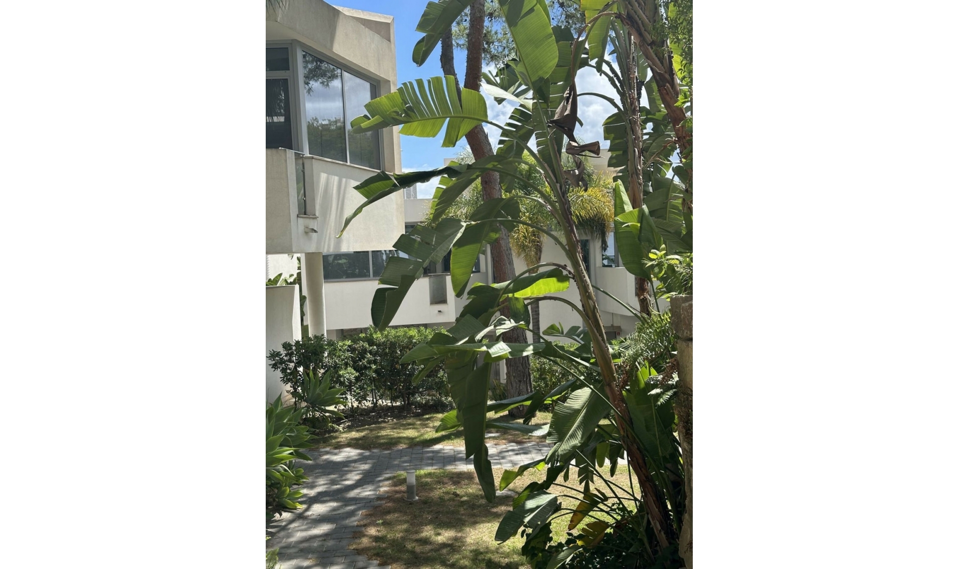 Resale - House -
Sierra Blanca