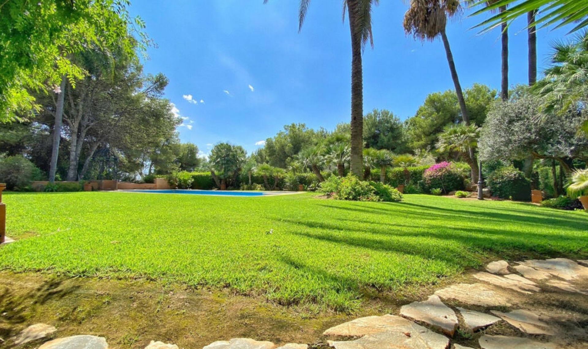 Resale - House -
Sierra Blanca