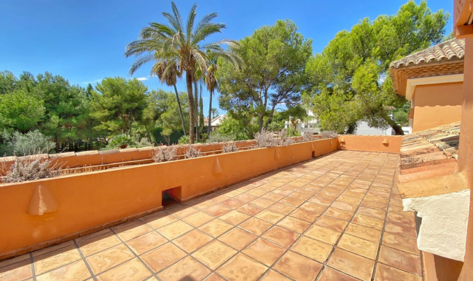 Resale - House -
Sierra Blanca