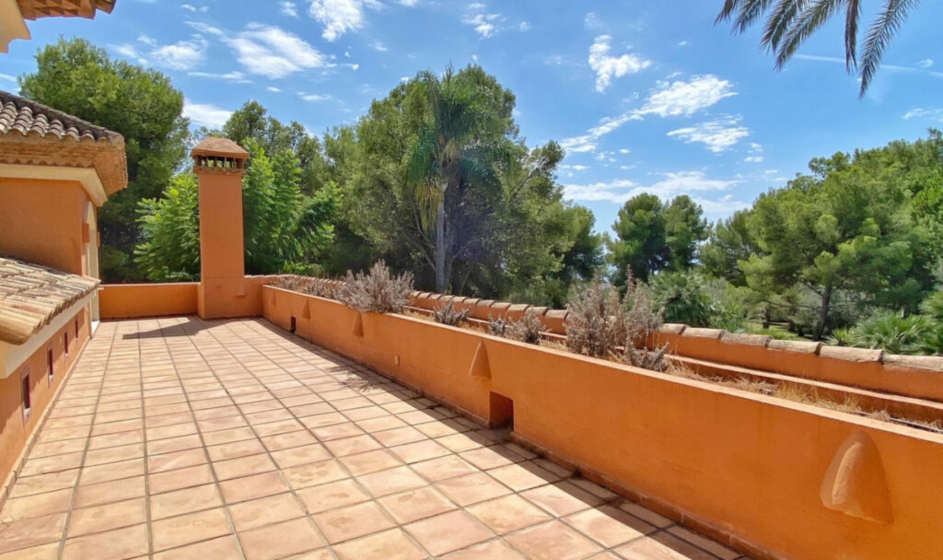 Resale - House -
Sierra Blanca
