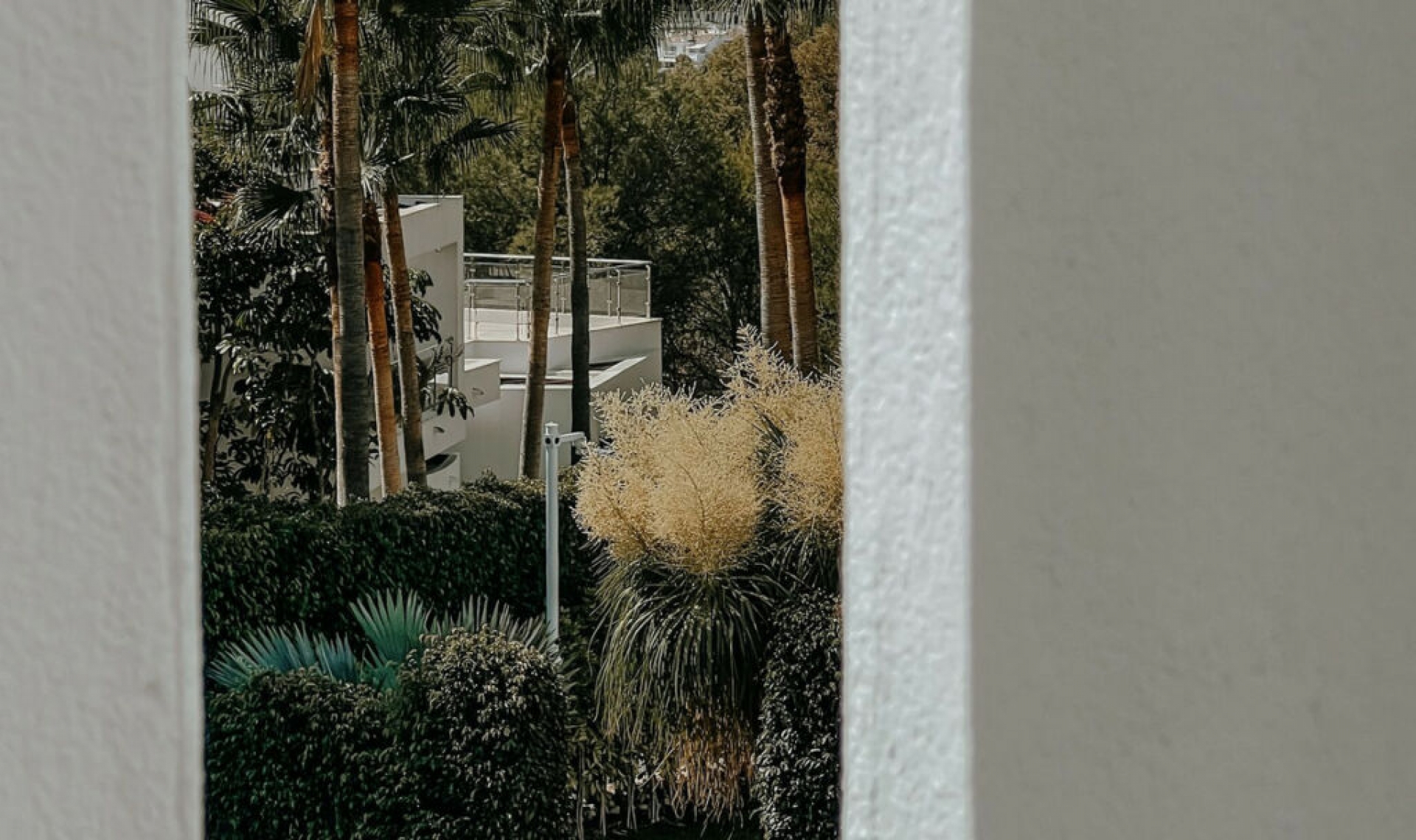 Resale - House -
Sierra Blanca