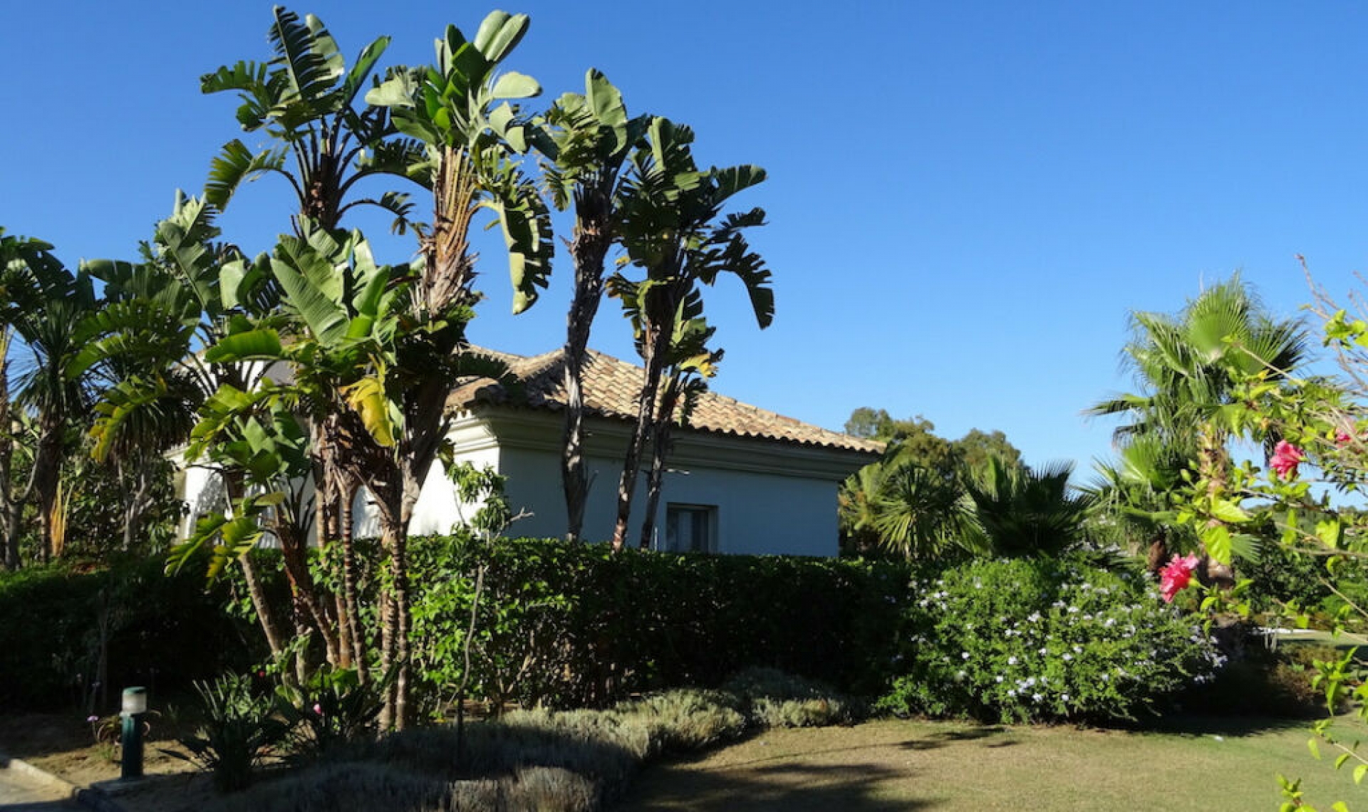 Resale - House -
Sotogrande Alto