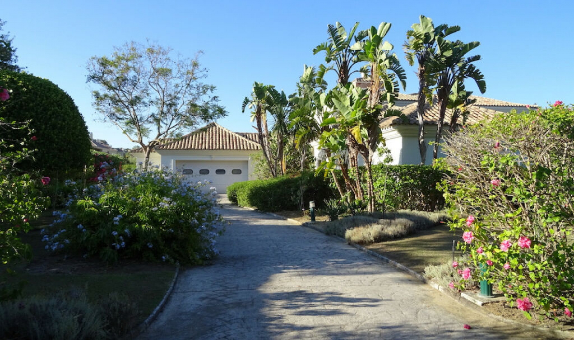 Resale - House -
Sotogrande Alto