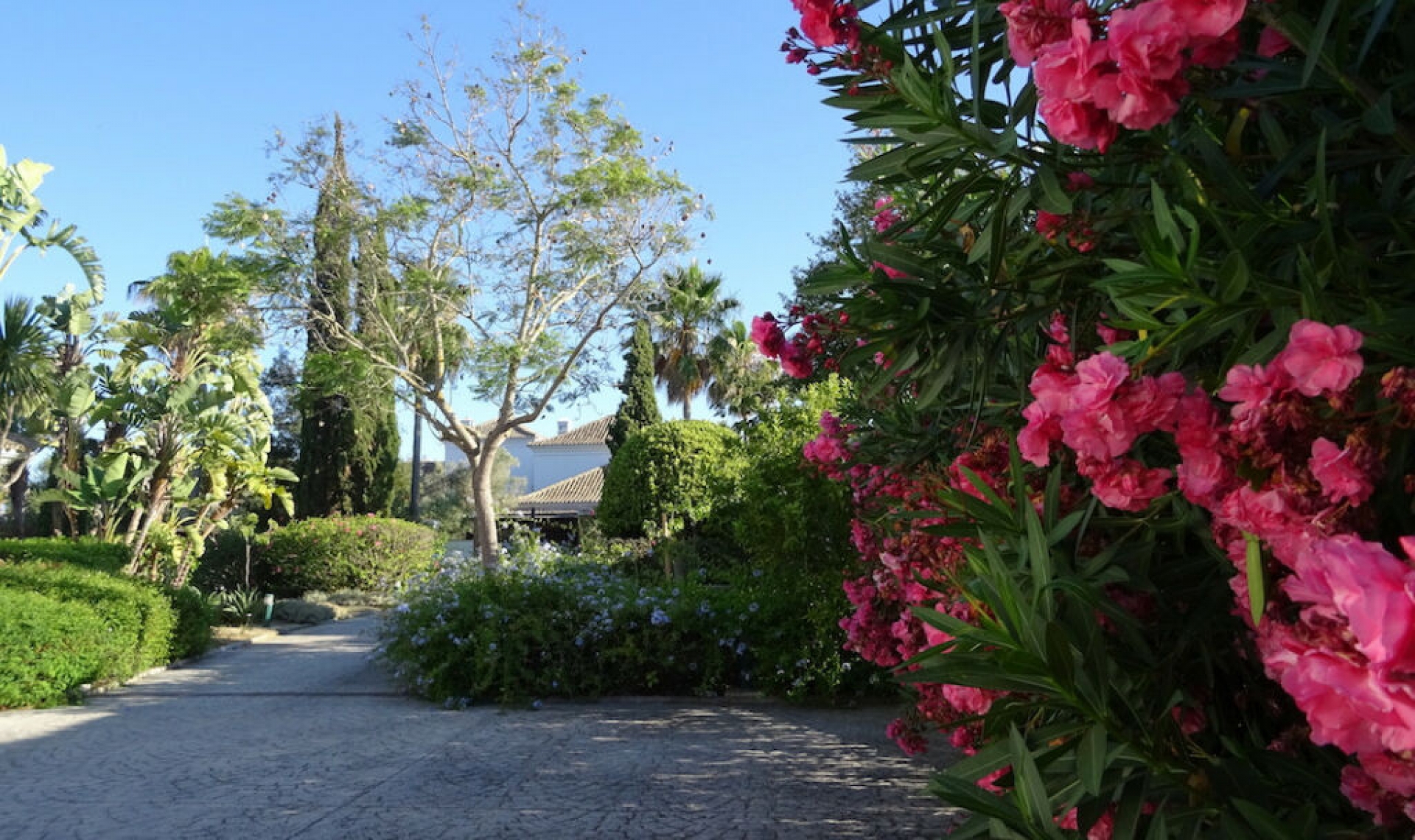 Resale - House -
Sotogrande Alto