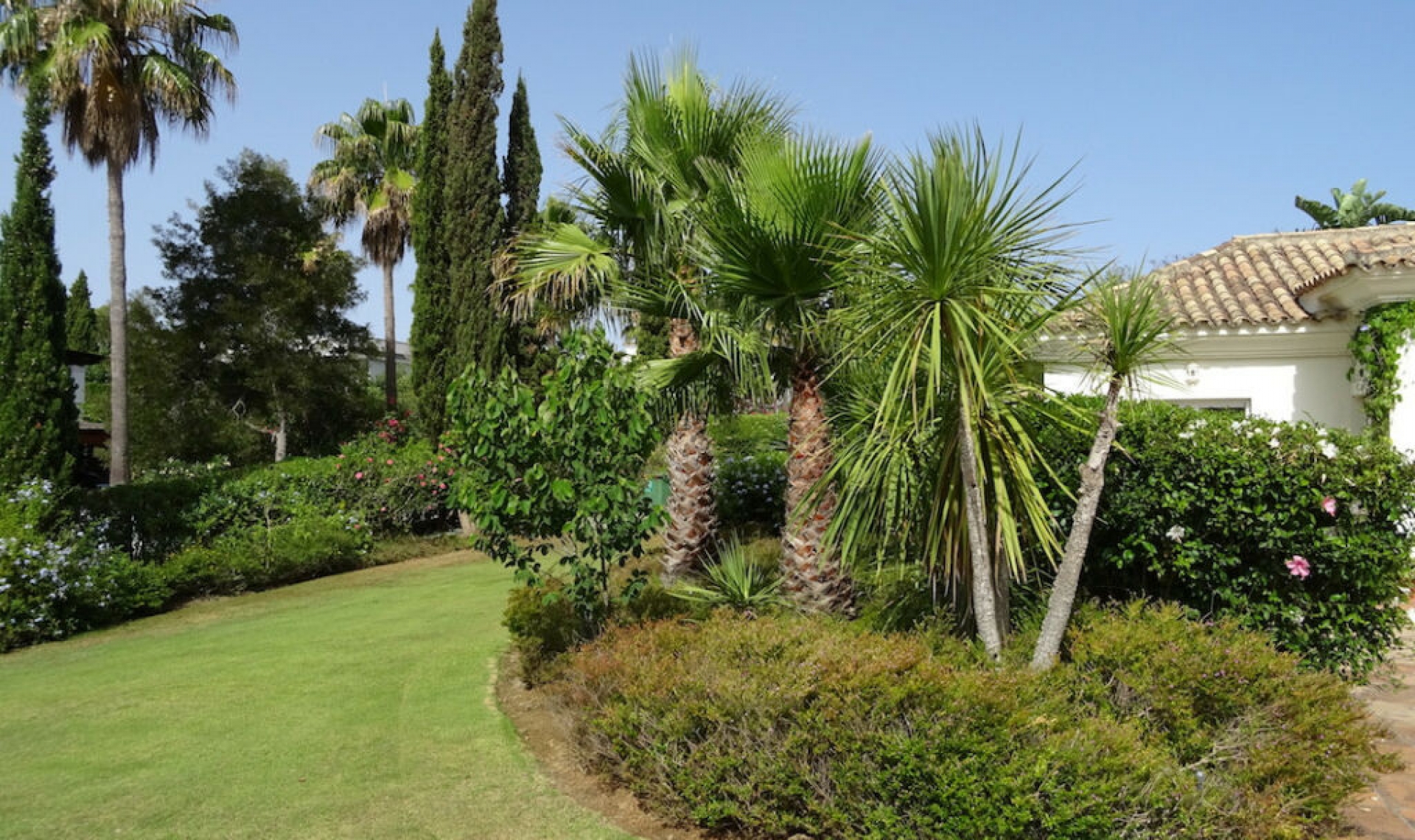 Resale - House -
Sotogrande Alto