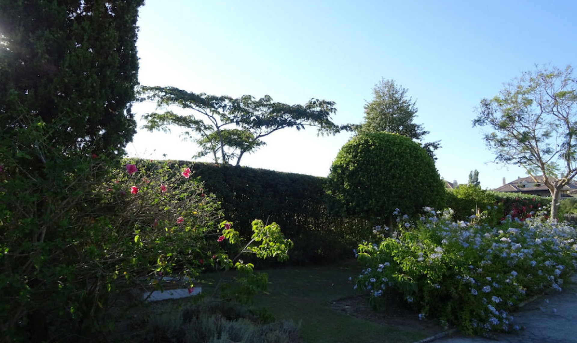 Resale - House -
Sotogrande Alto