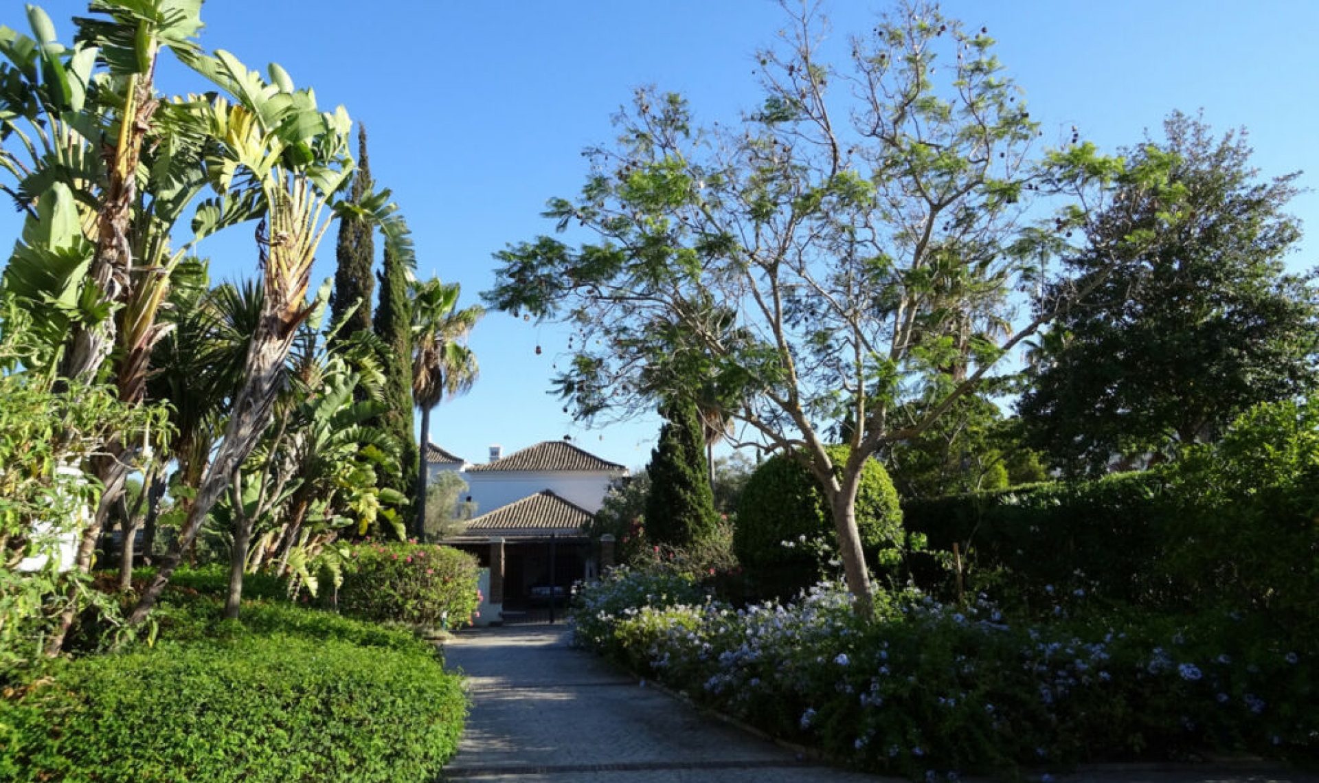 Resale - House -
Sotogrande Alto