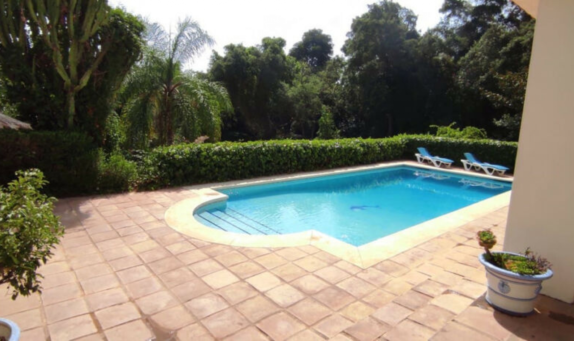 Resale - House -
Sotogrande Alto