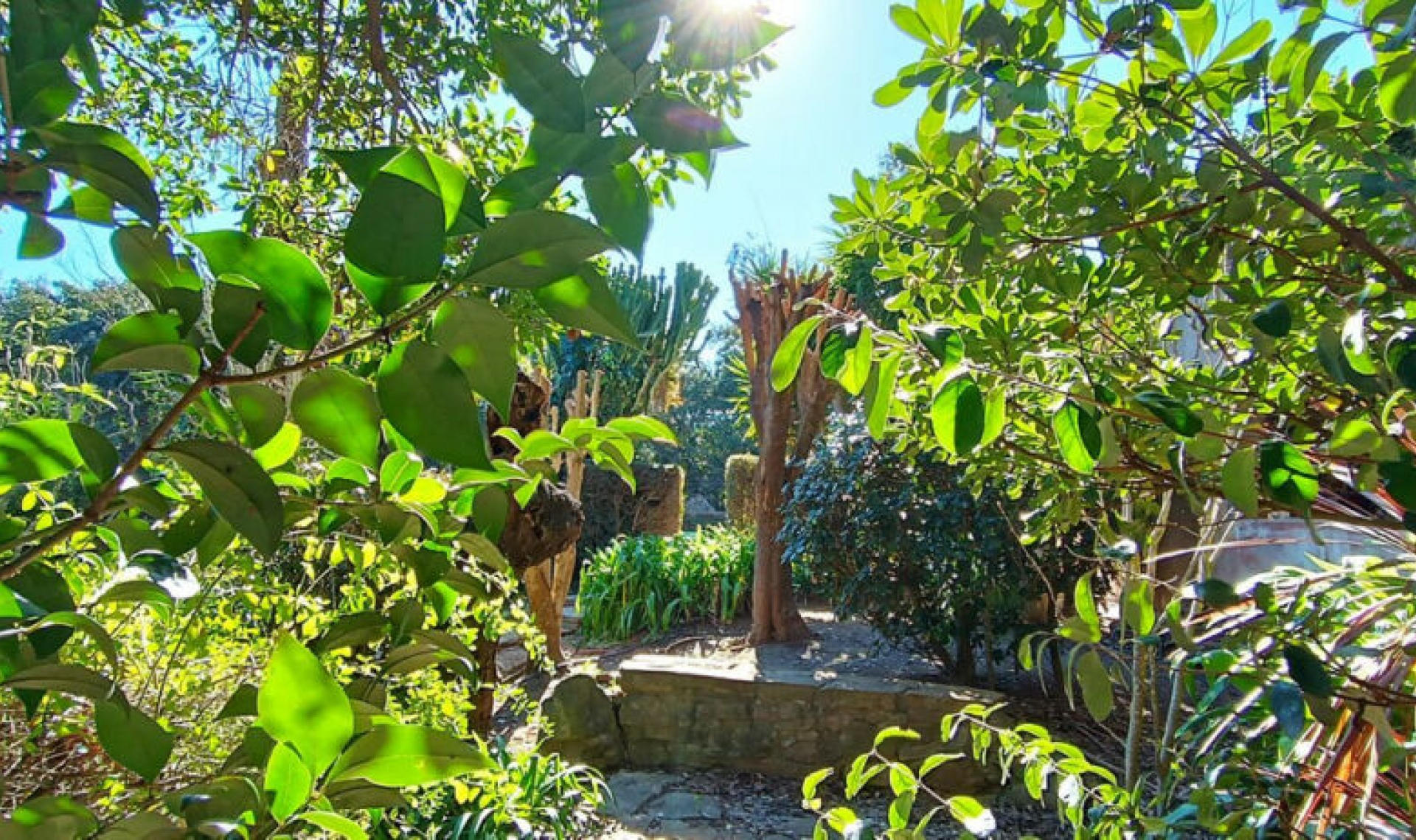 Resale - House -
Sotogrande Alto