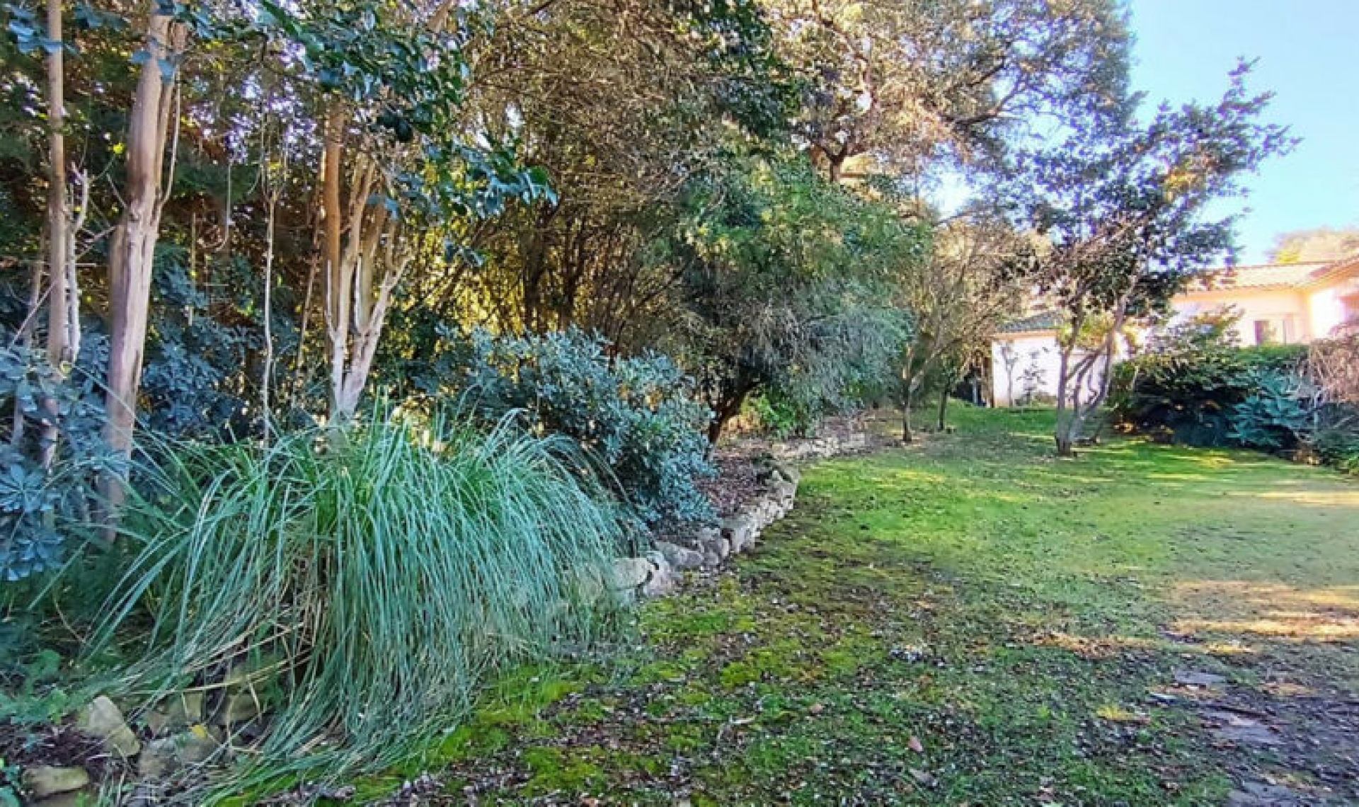 Resale - House -
Sotogrande Alto