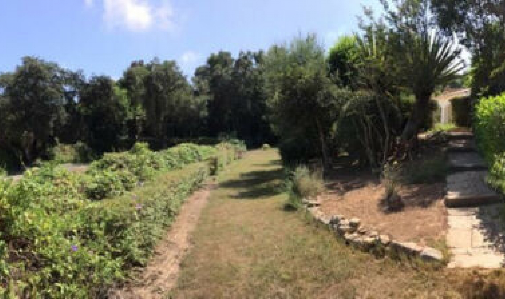 Resale - House -
Sotogrande Alto