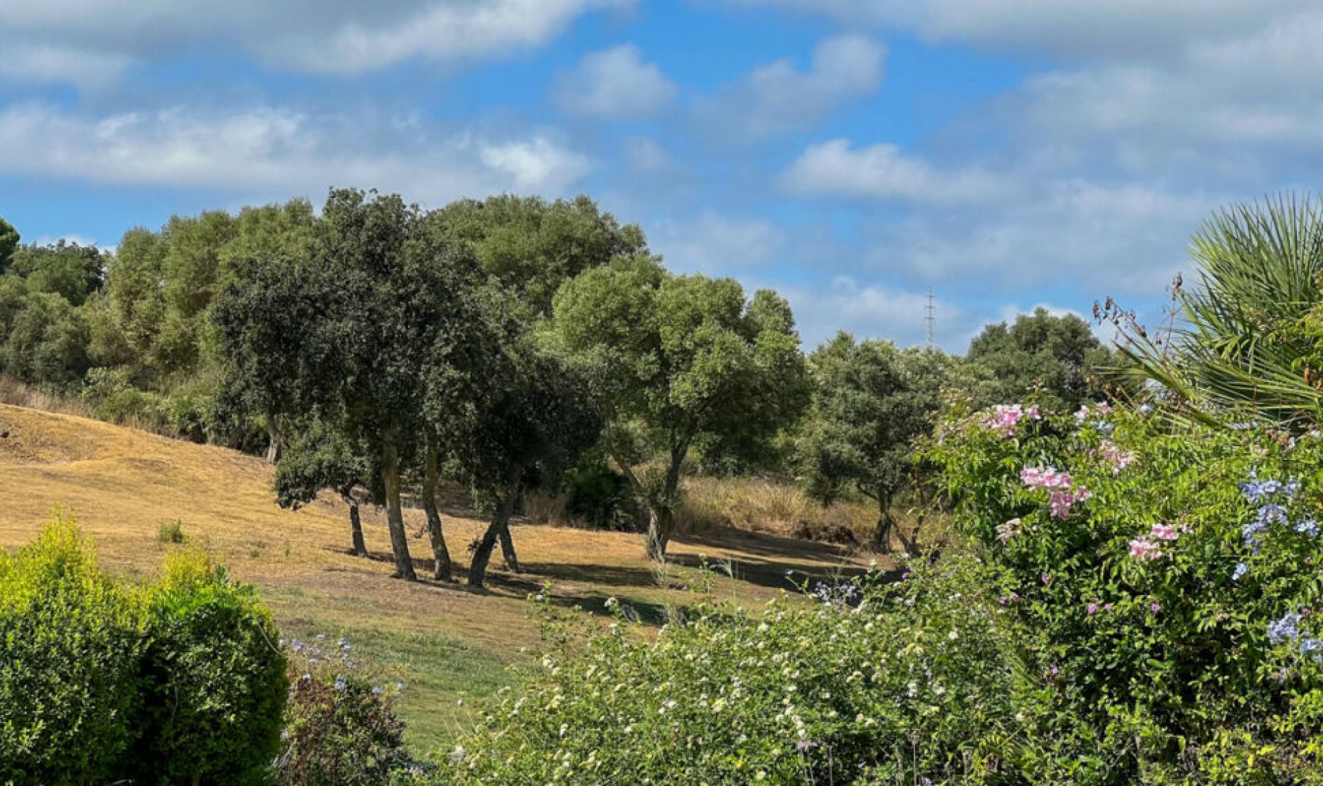 Resale - House -
Sotogrande Alto