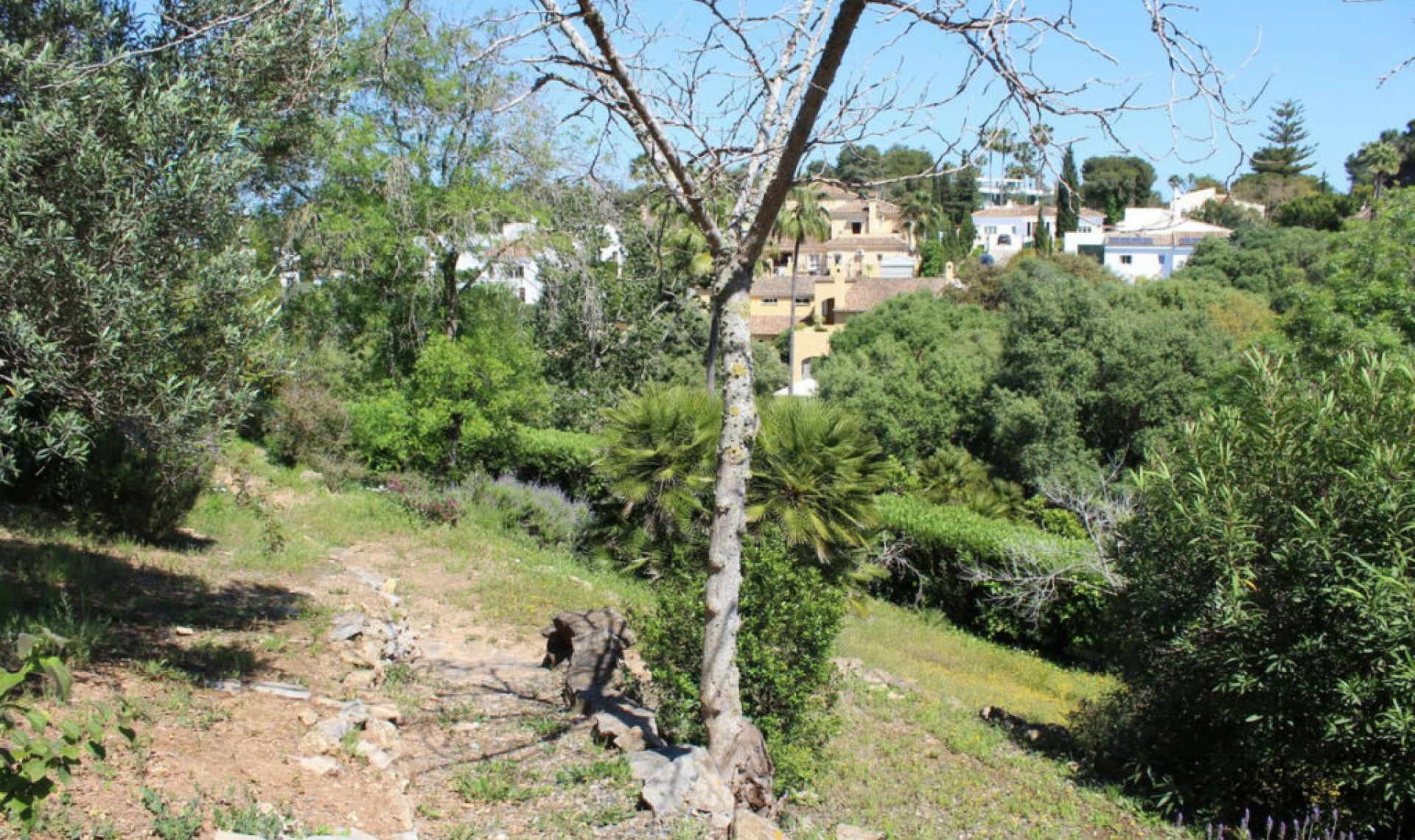 Resale - House -
Sotogrande Costa