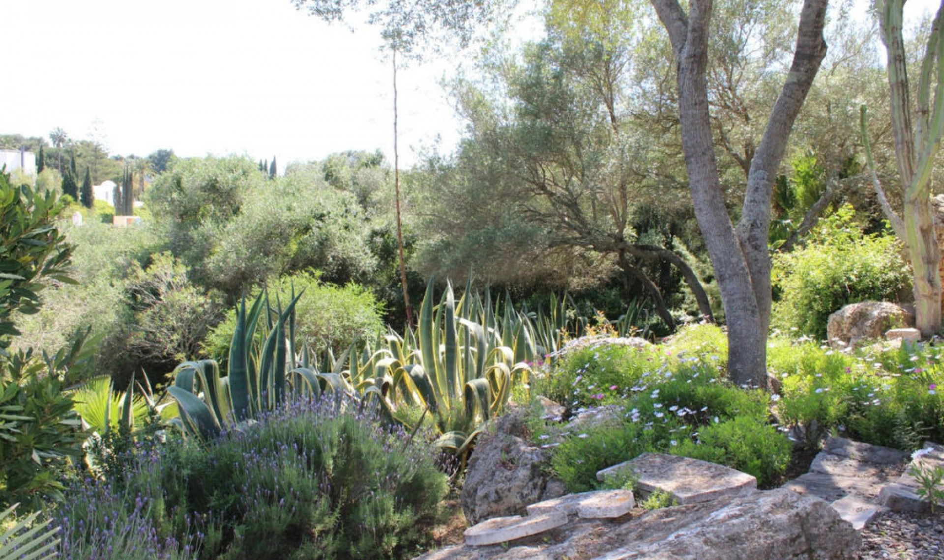 Resale - House -
Sotogrande Costa