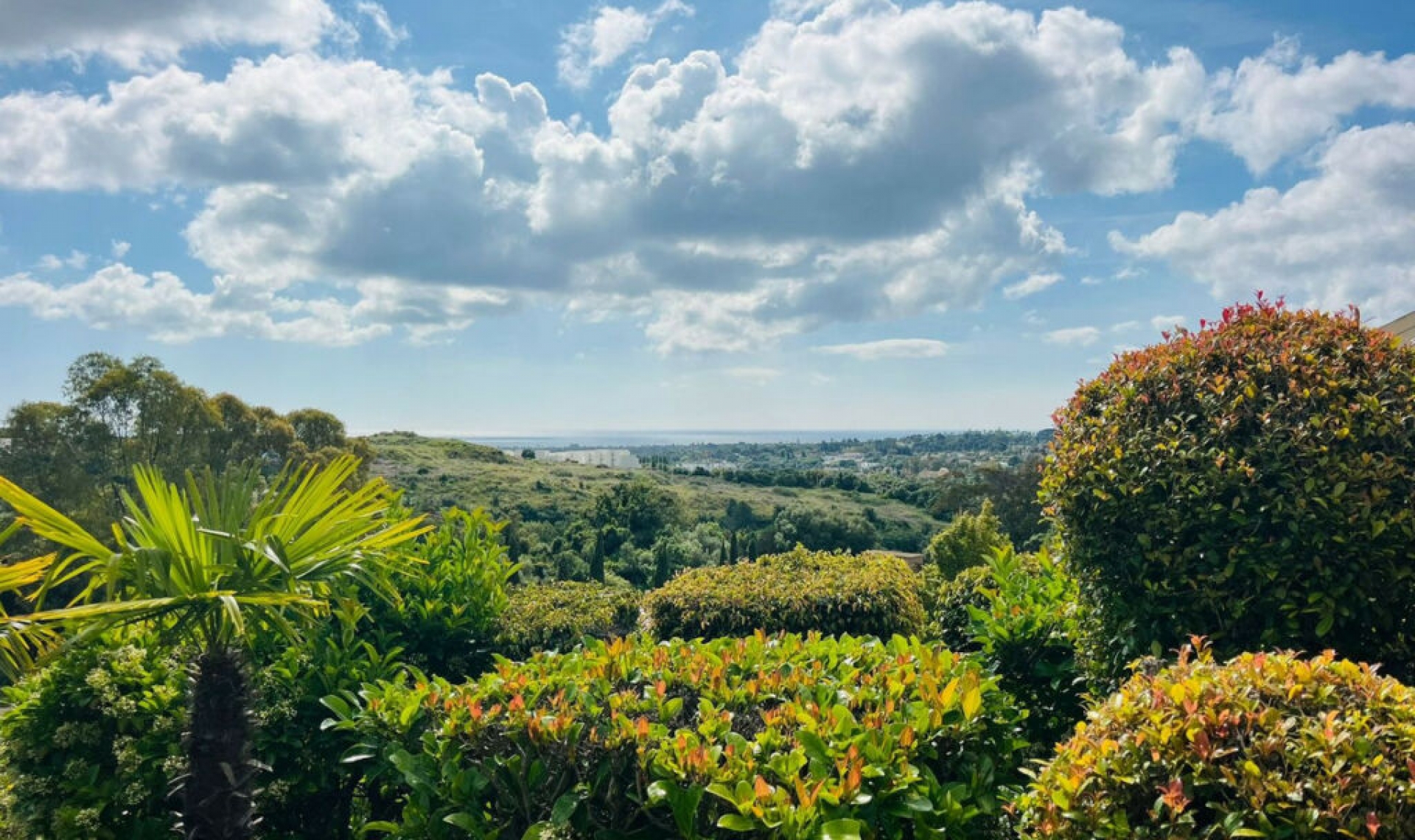 Resale - House -
Sotogrande