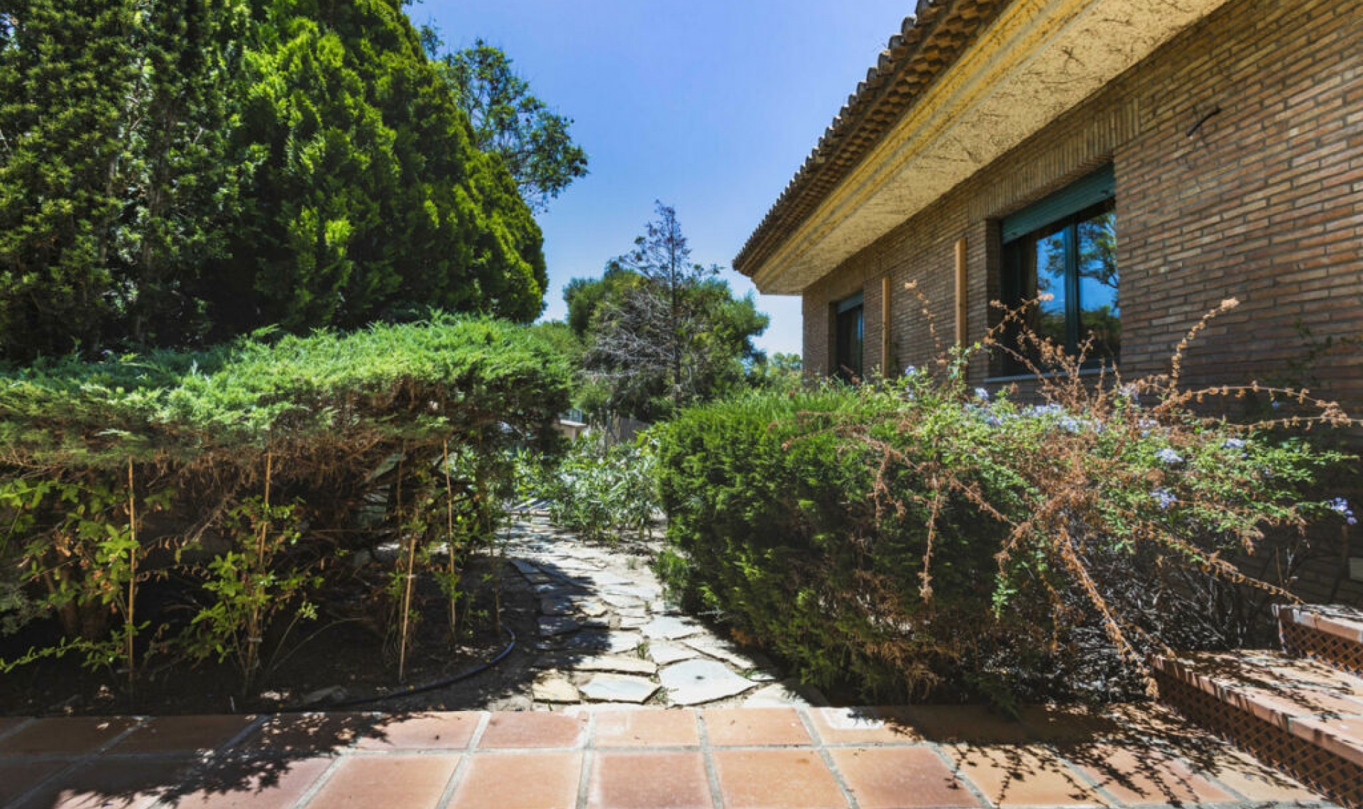 Resale - House -
Sotogrande