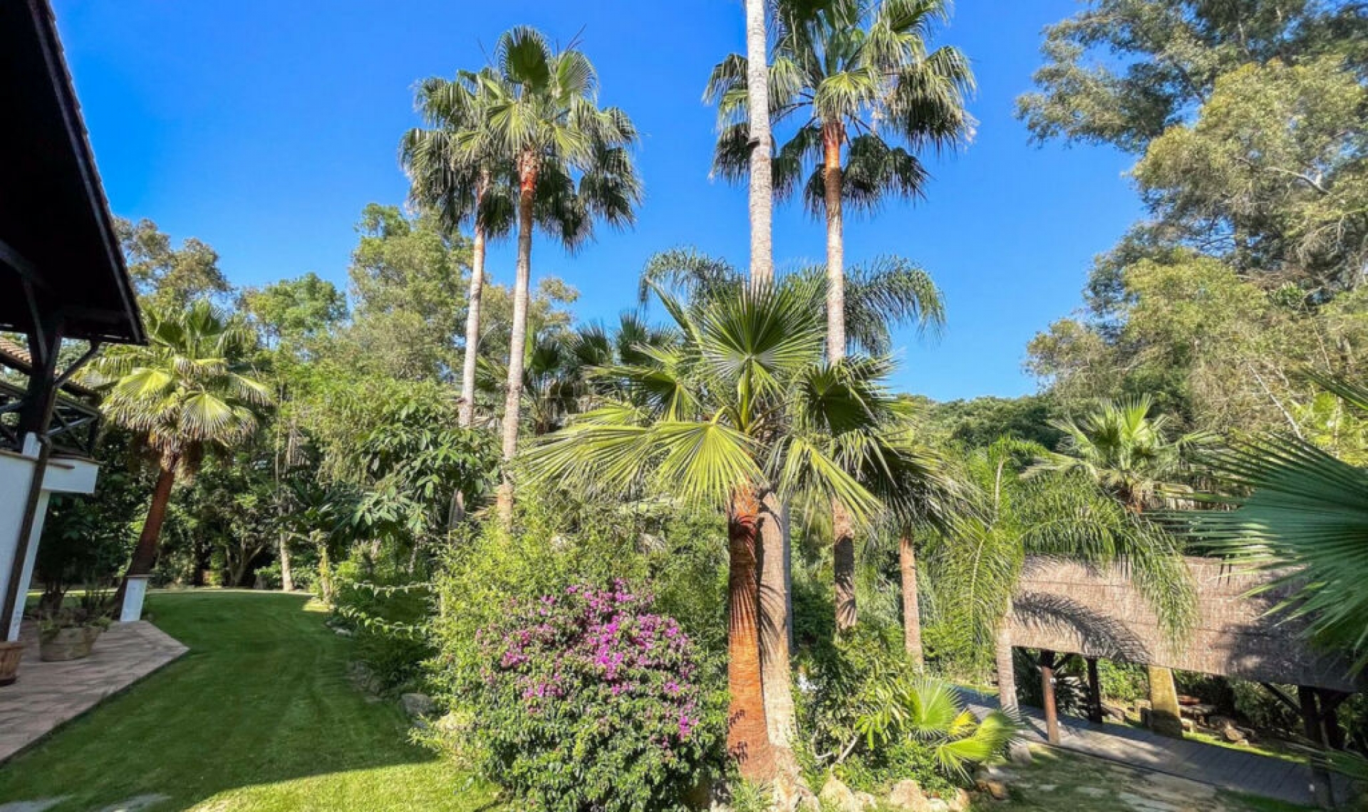 Resale - House -
Sotogrande