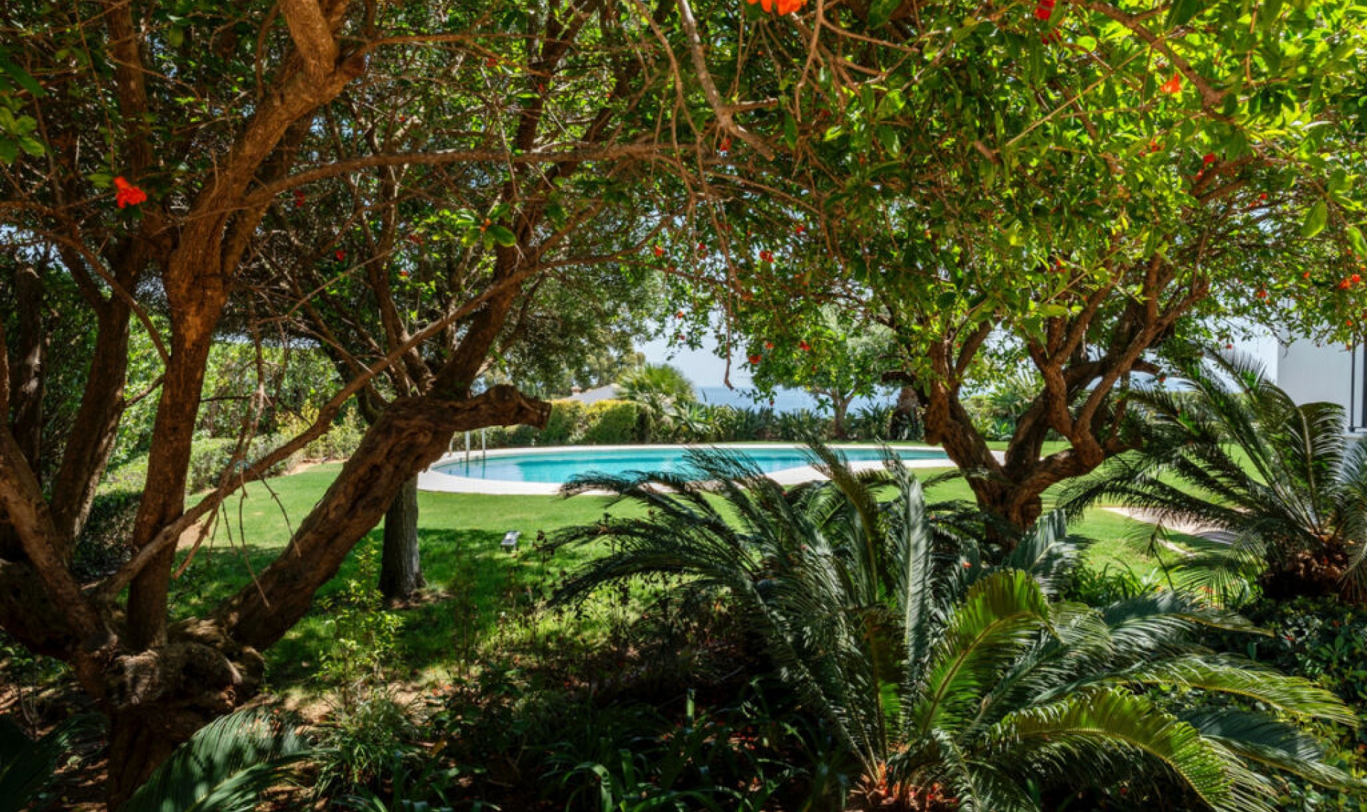 Resale - House -
Sotogrande