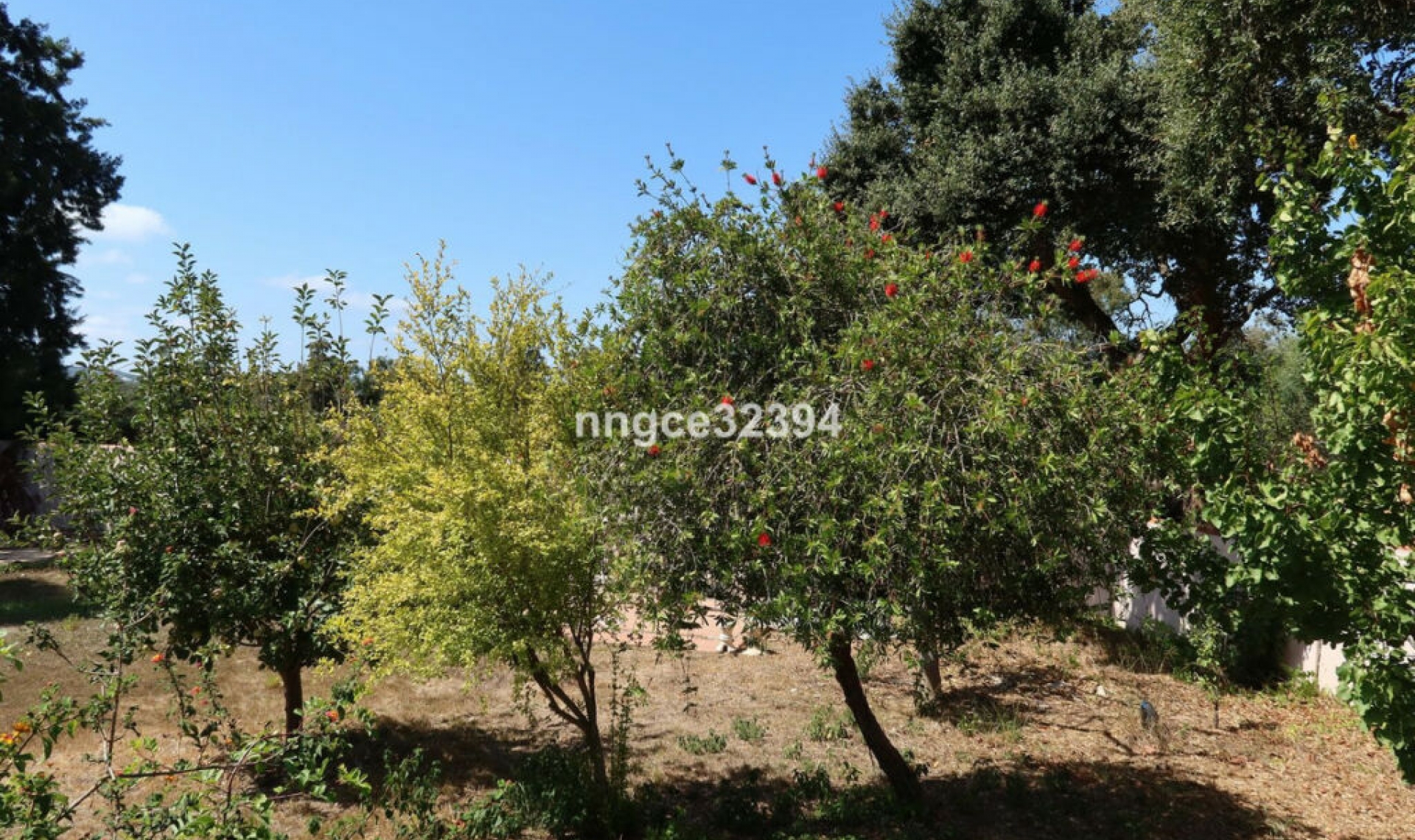 Resale - House -
Sotogrande