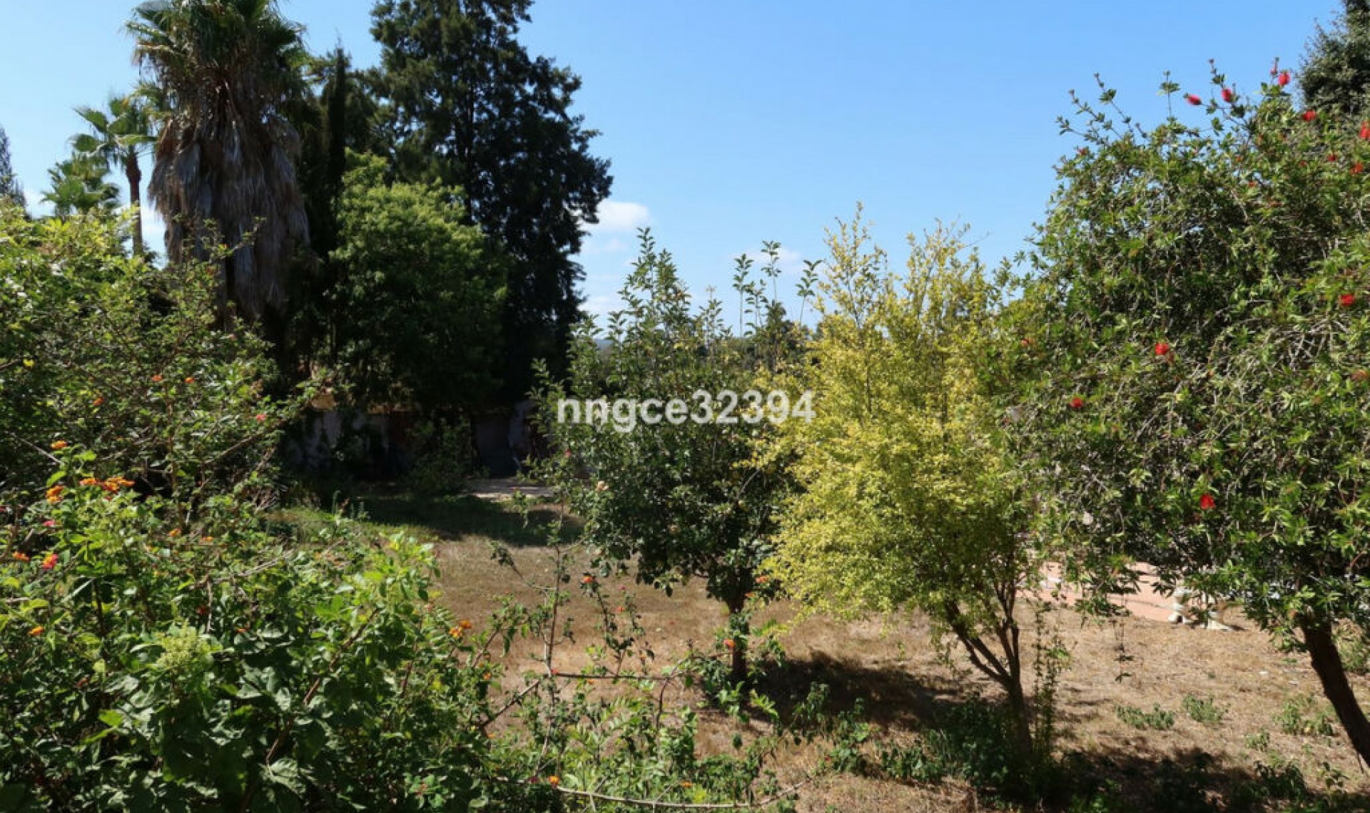 Resale - House -
Sotogrande