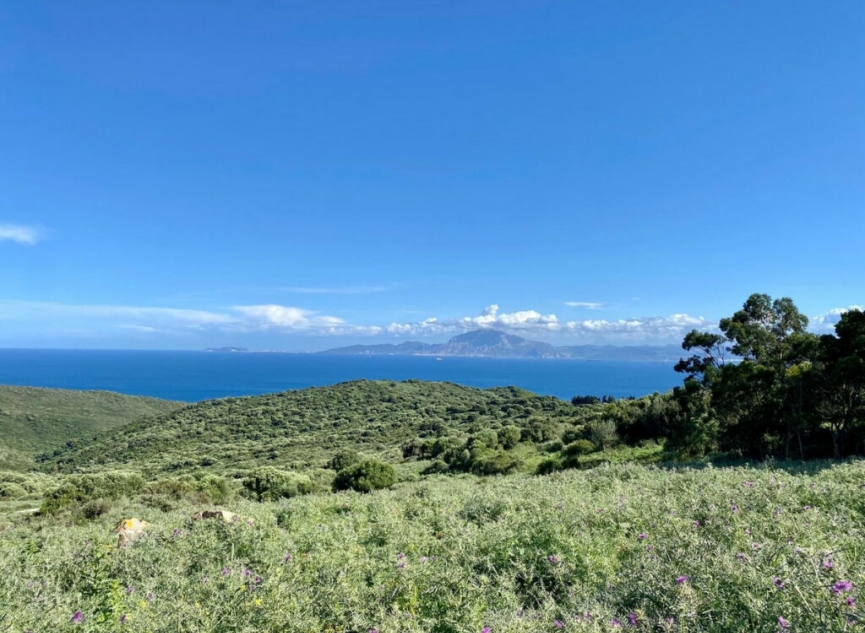 Resale - House -
Tarifa