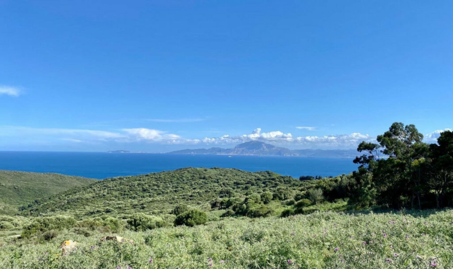 Resale - House -
Tarifa