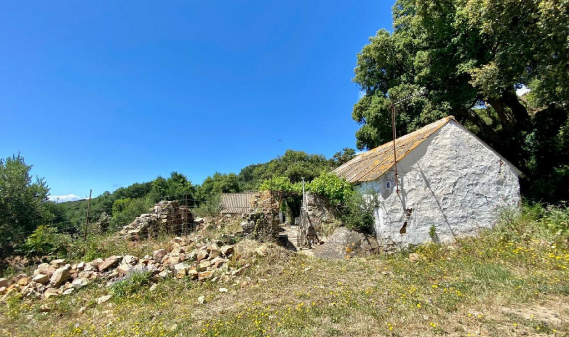 Resale - House -
Tarifa
