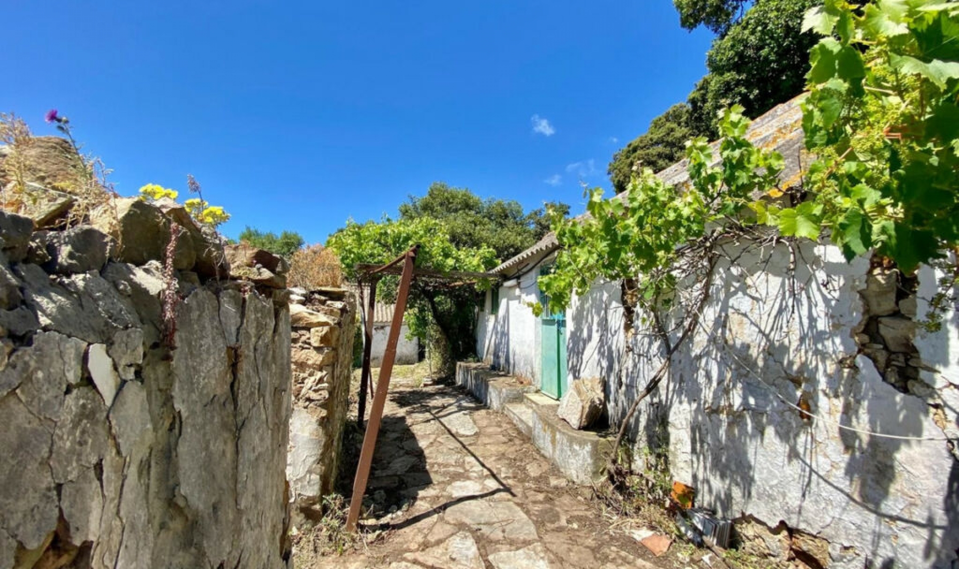 Resale - House -
Tarifa