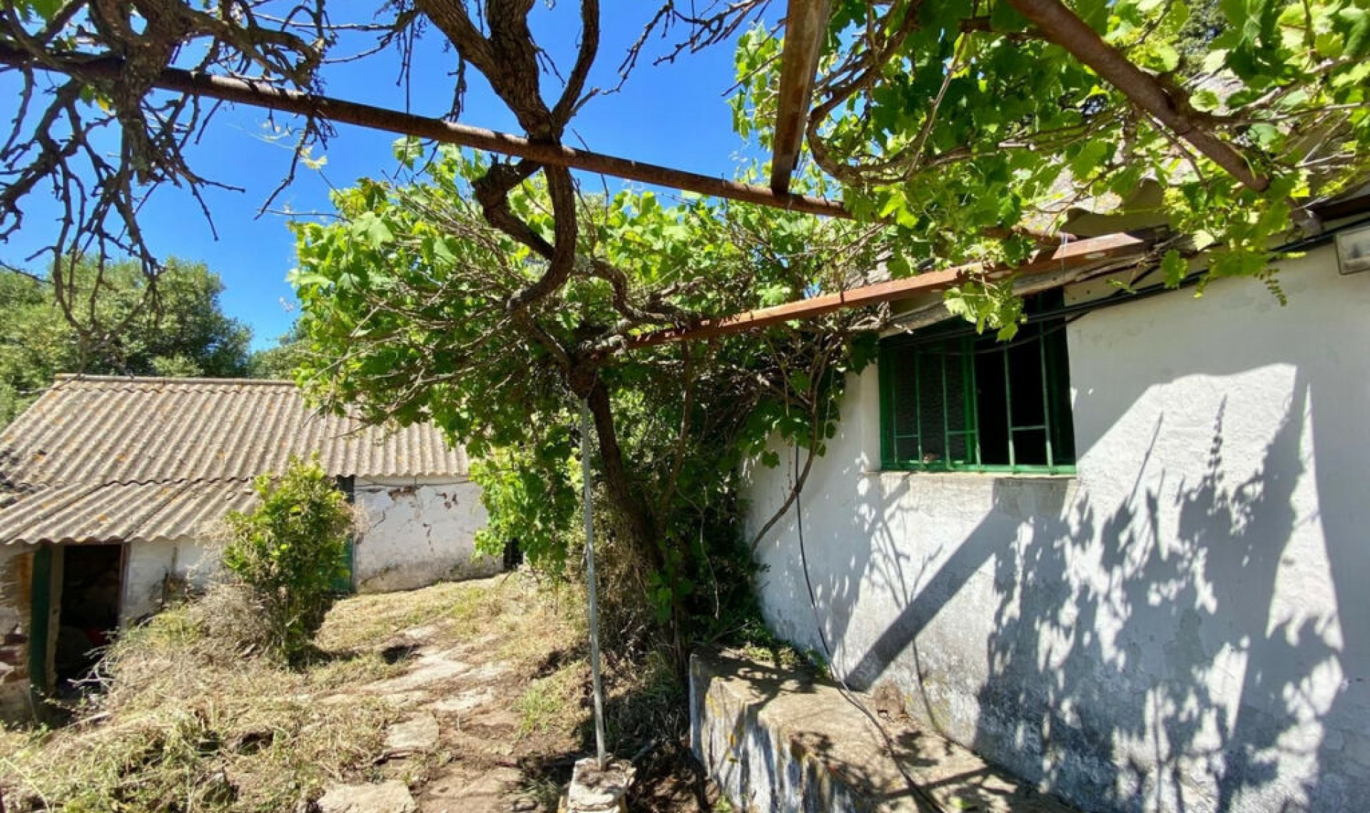 Resale - House -
Tarifa
