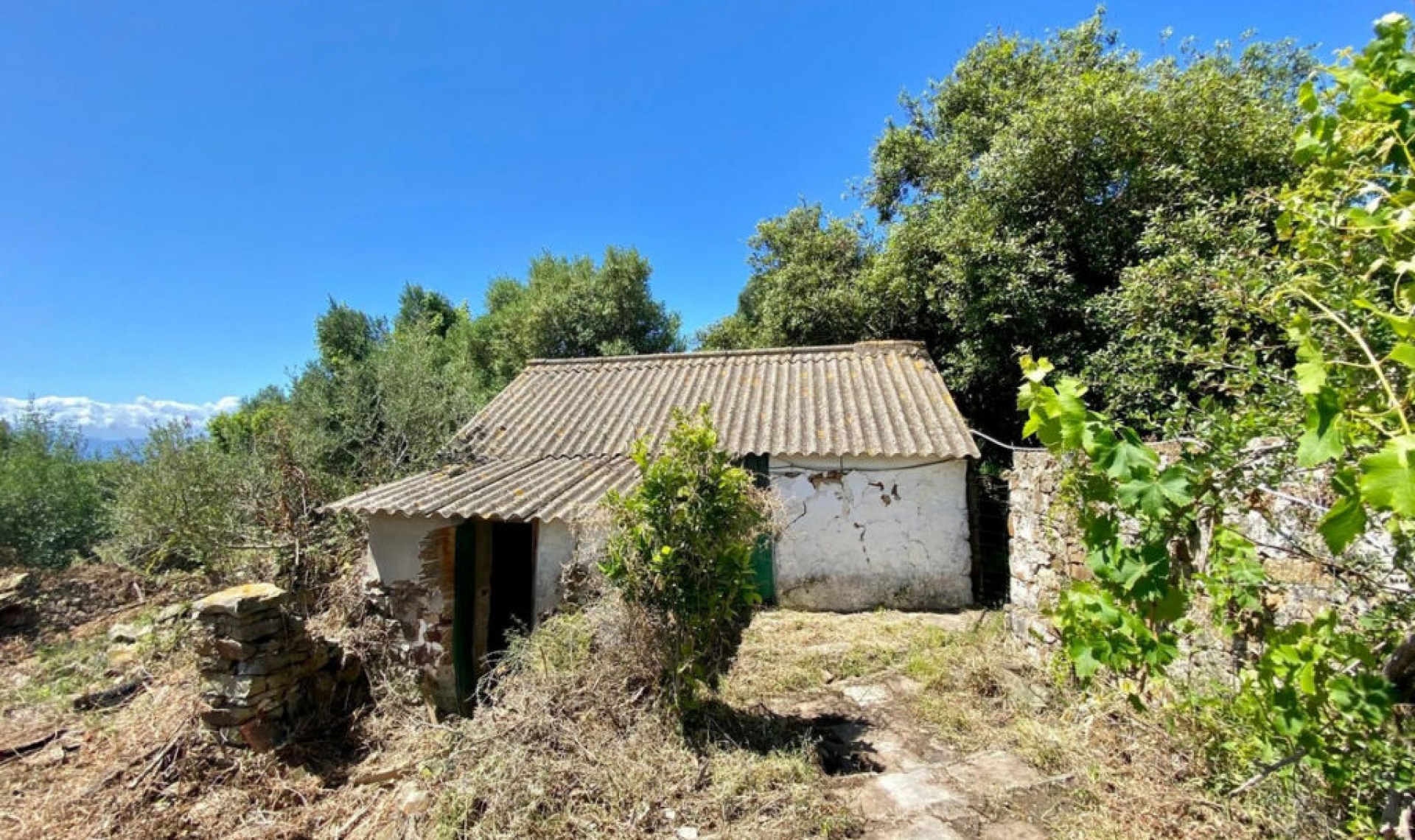 Resale - House -
Tarifa