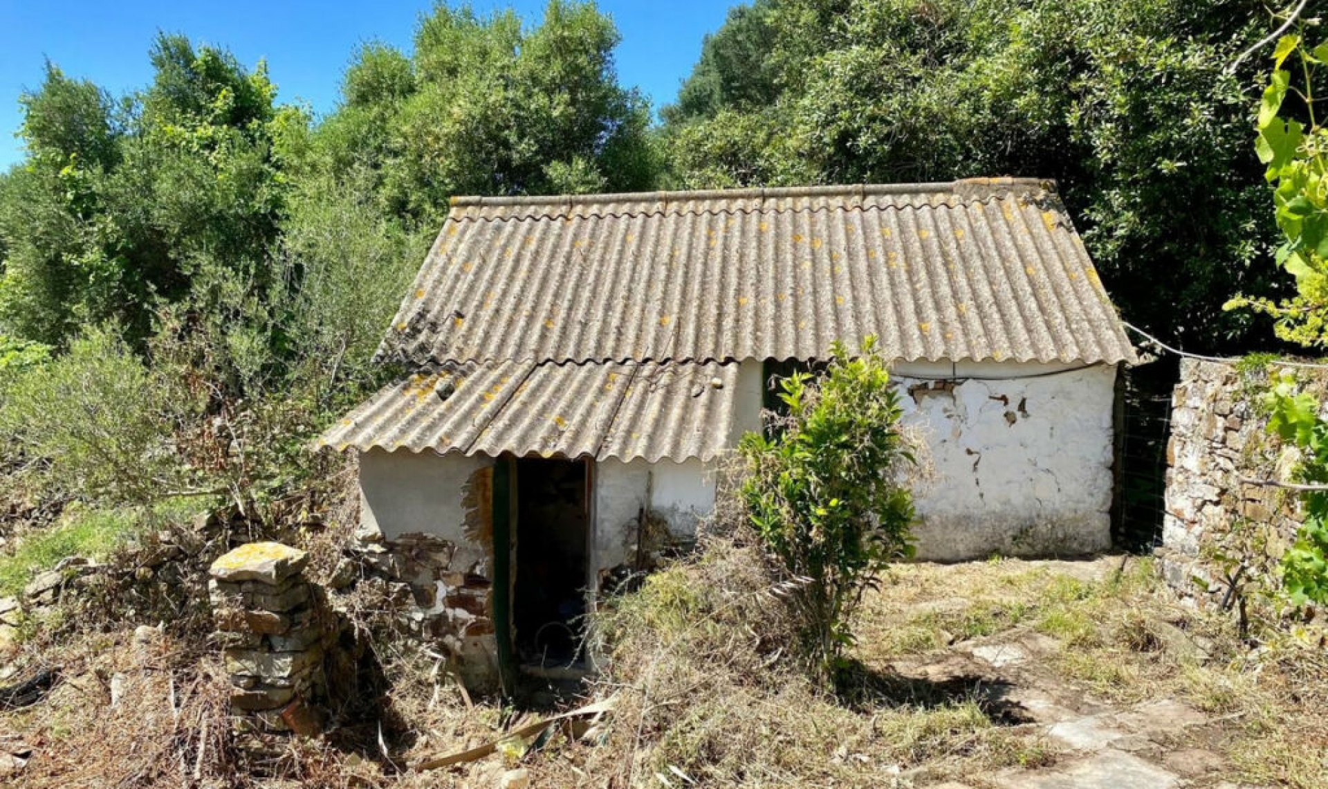Resale - House -
Tarifa