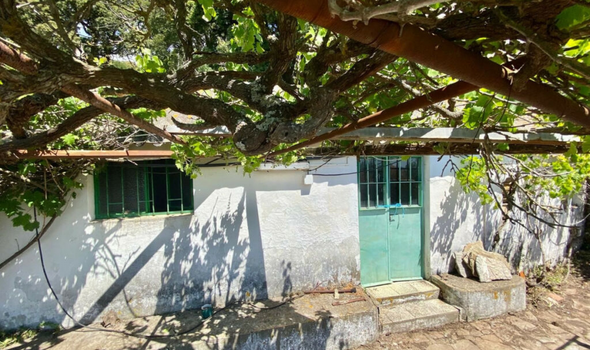 Resale - House -
Tarifa