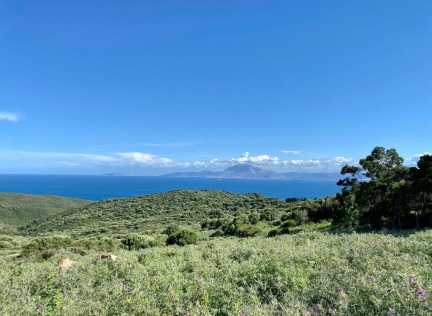 Resale - House -
Tarifa