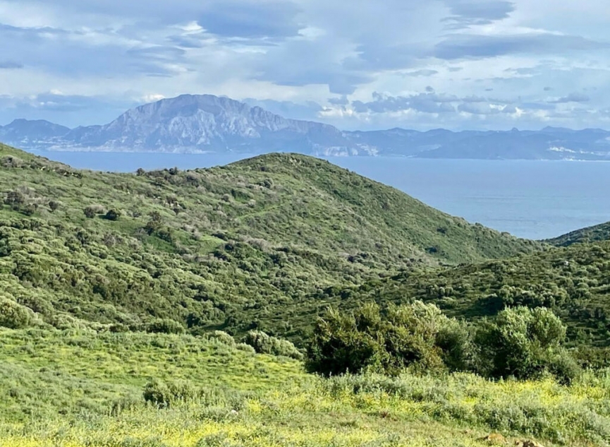 Resale - House -
Tarifa