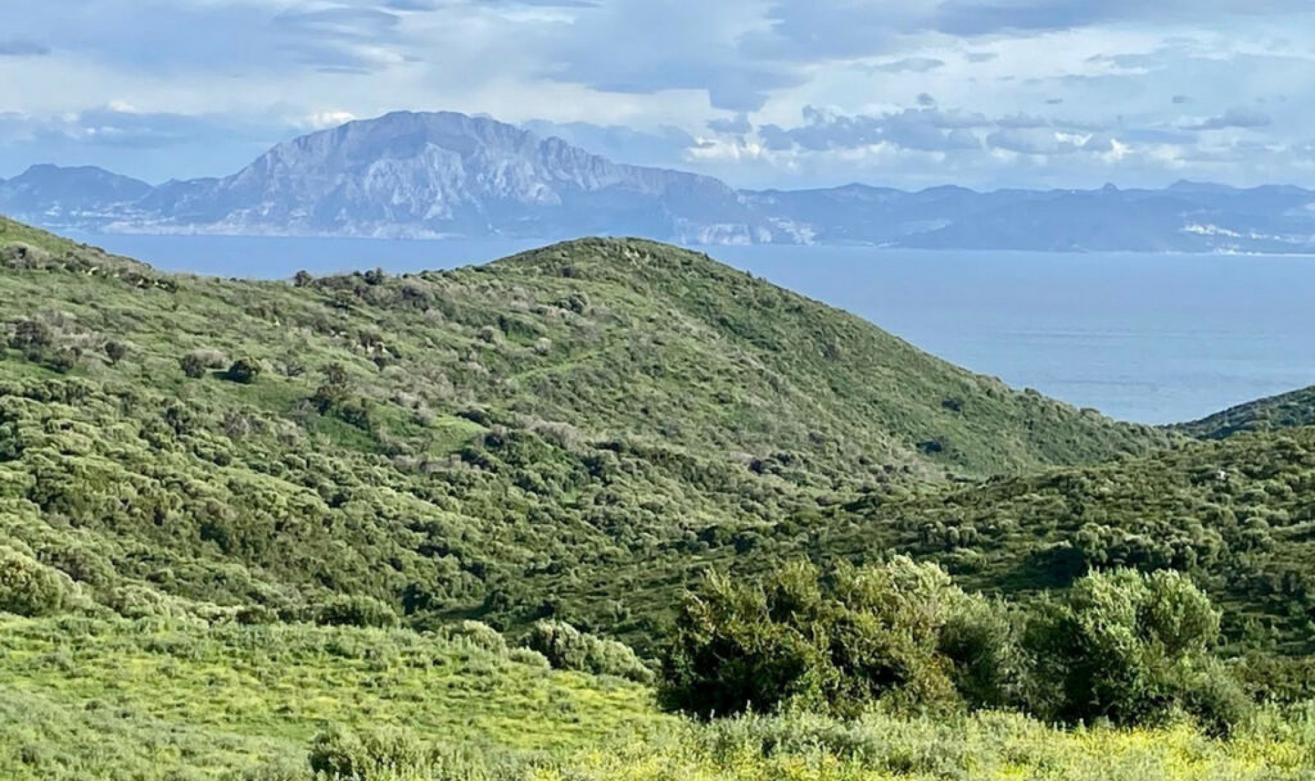 Resale - House -
Tarifa